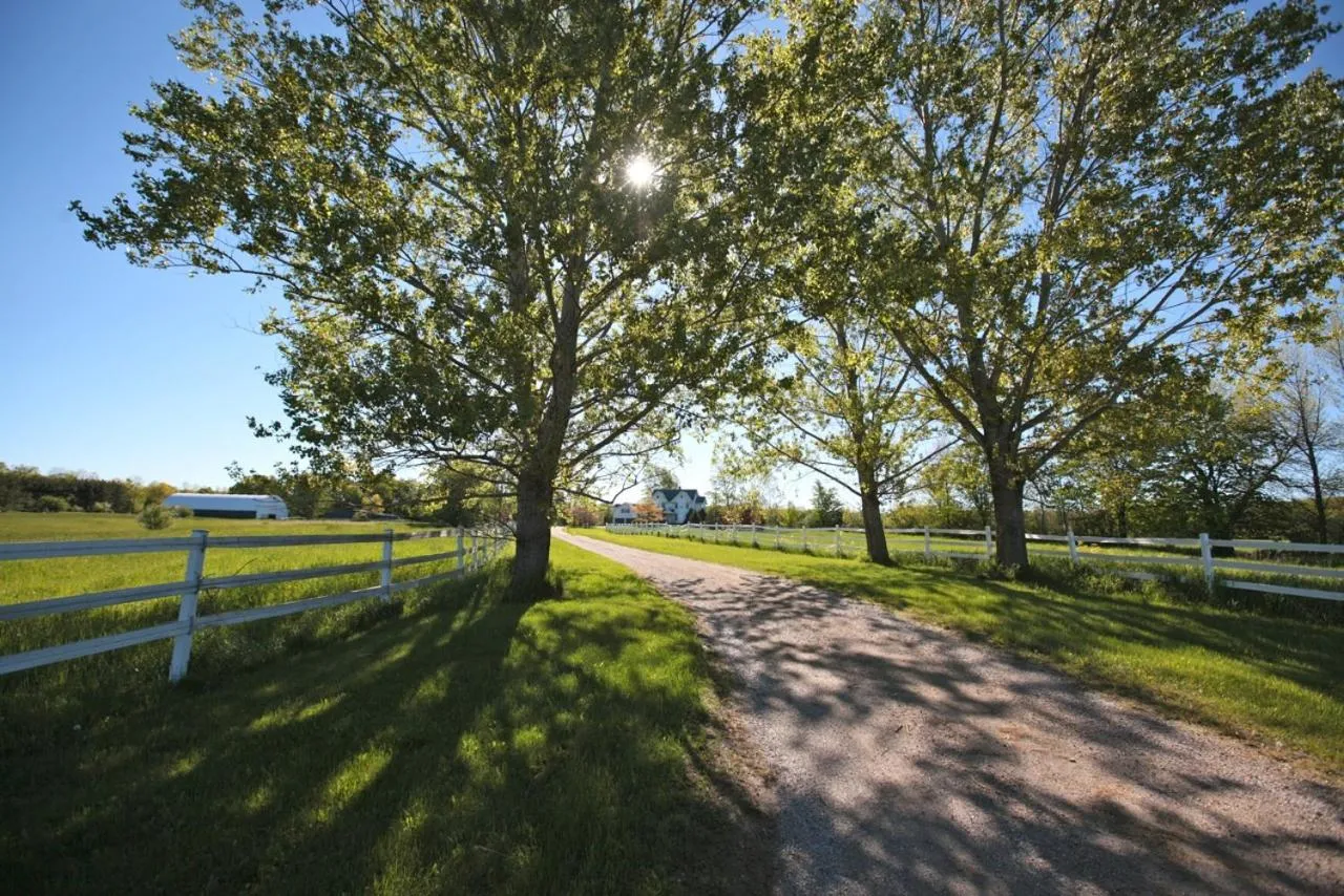 Property building in Twin Peaks B&B