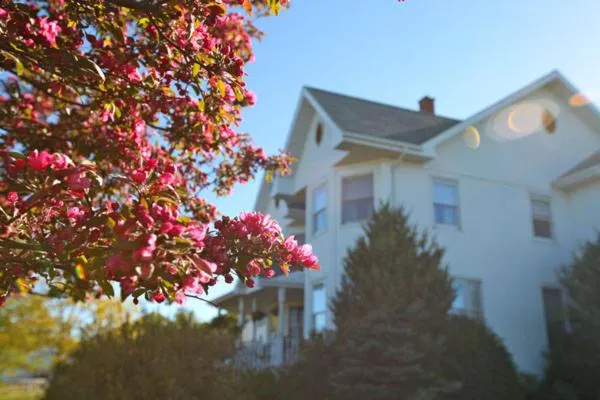 Garden in Twin Peaks B&B