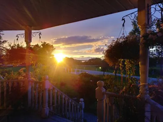 Garden in Twin Peaks B&B