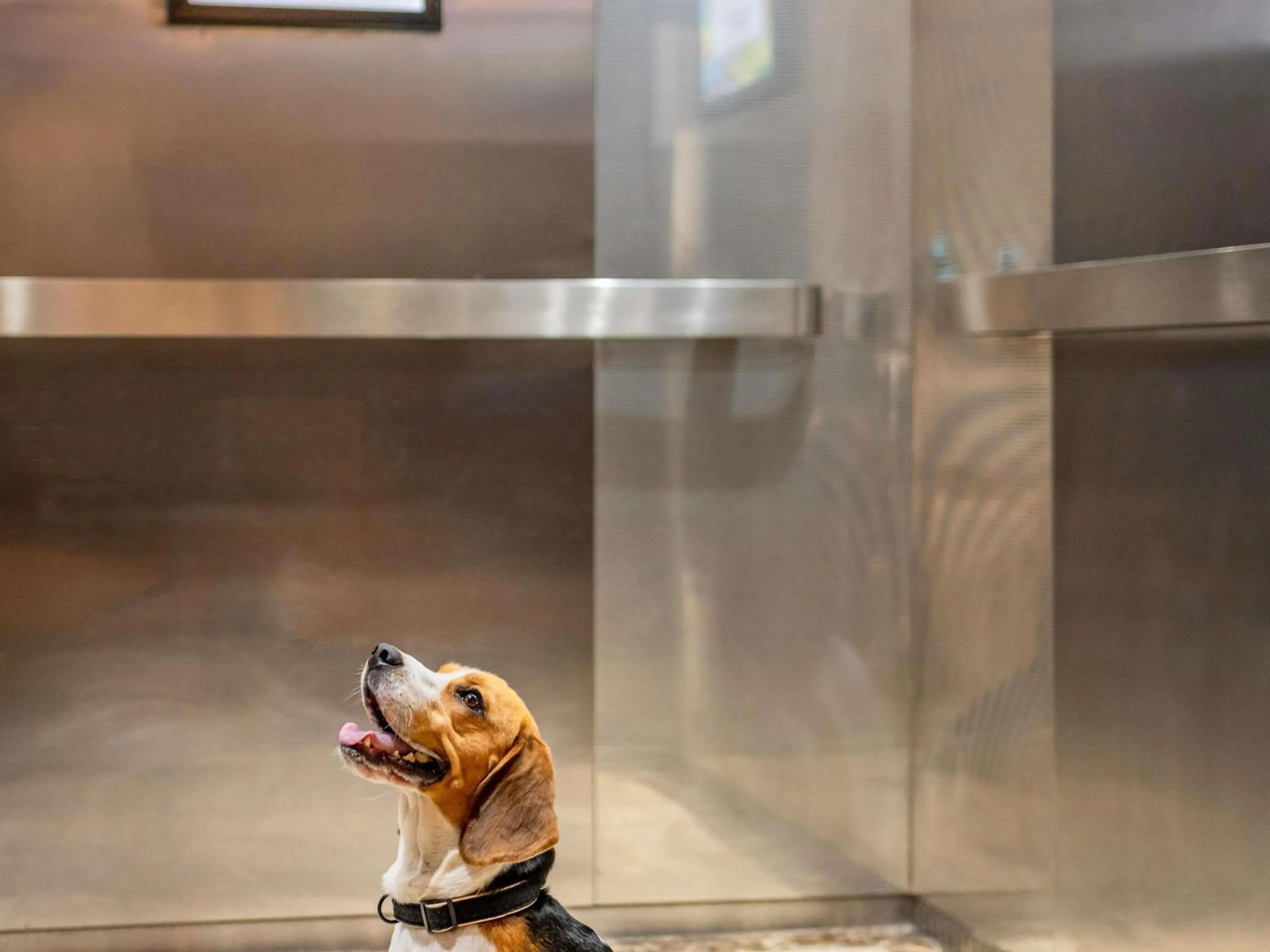 Other in ibis Berlin Mitte