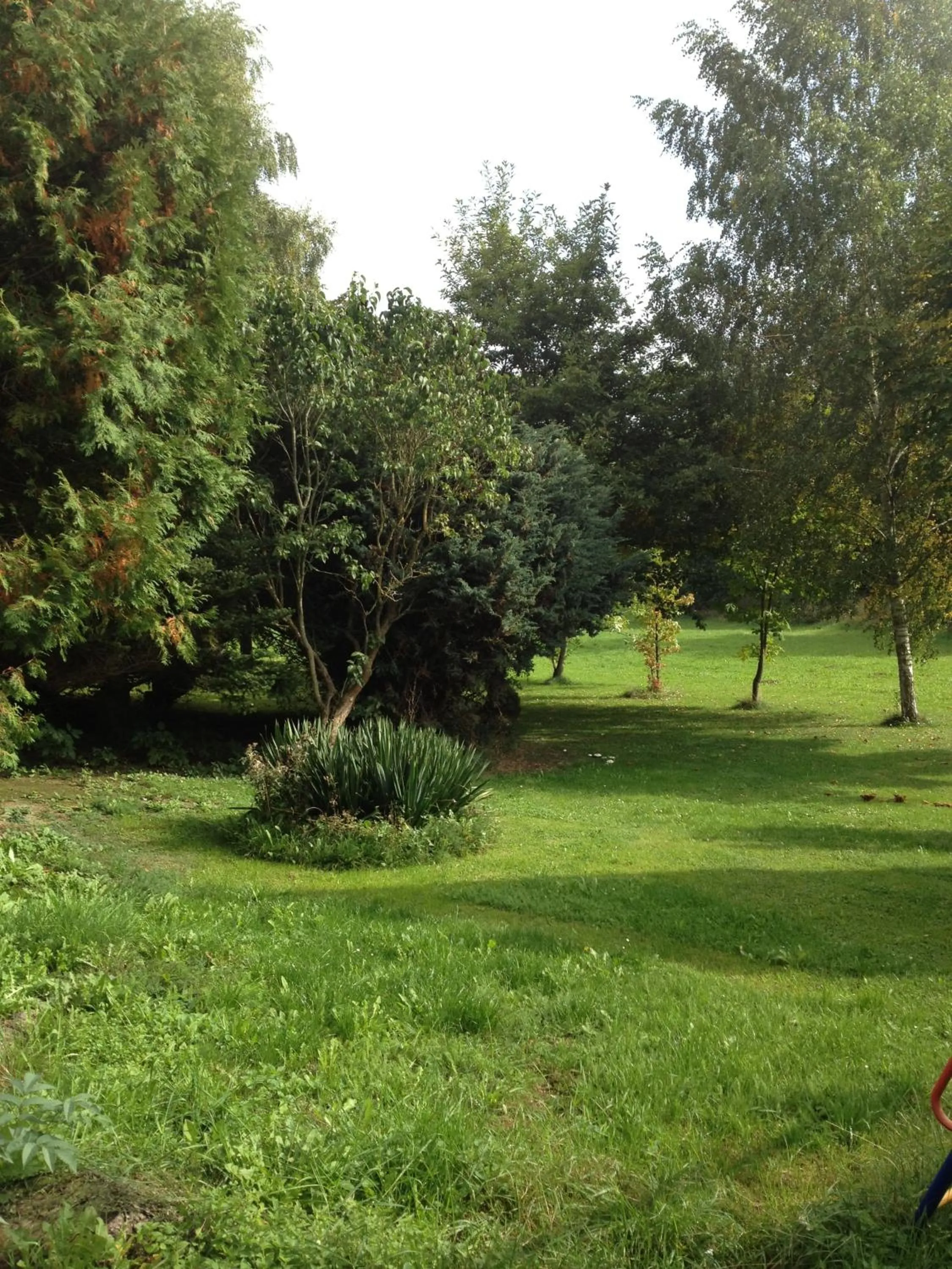 Hotel-Restaurant Walkmühle