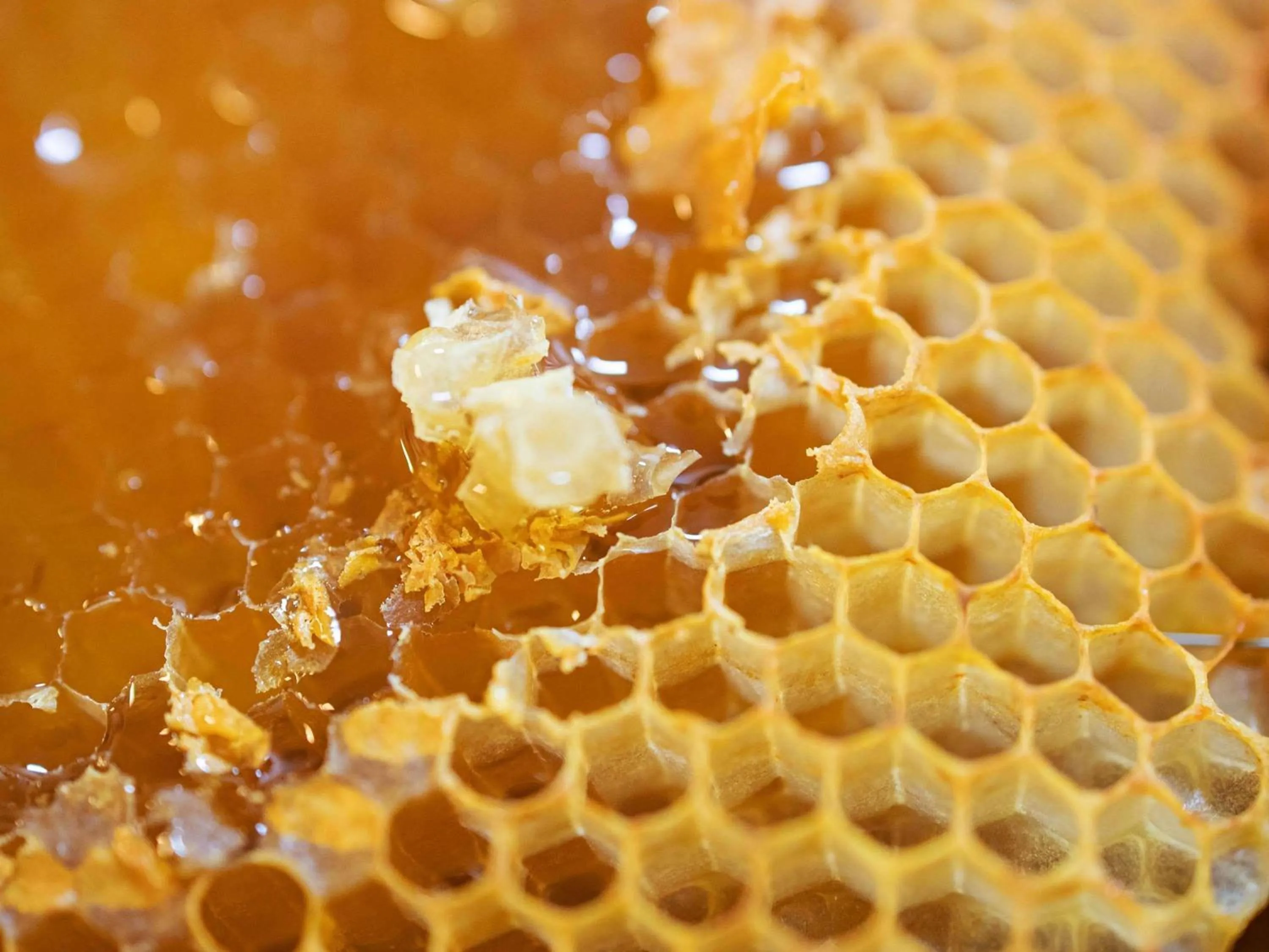 Breakfast in Novotel Suites Berlin City Potsdamer Platz