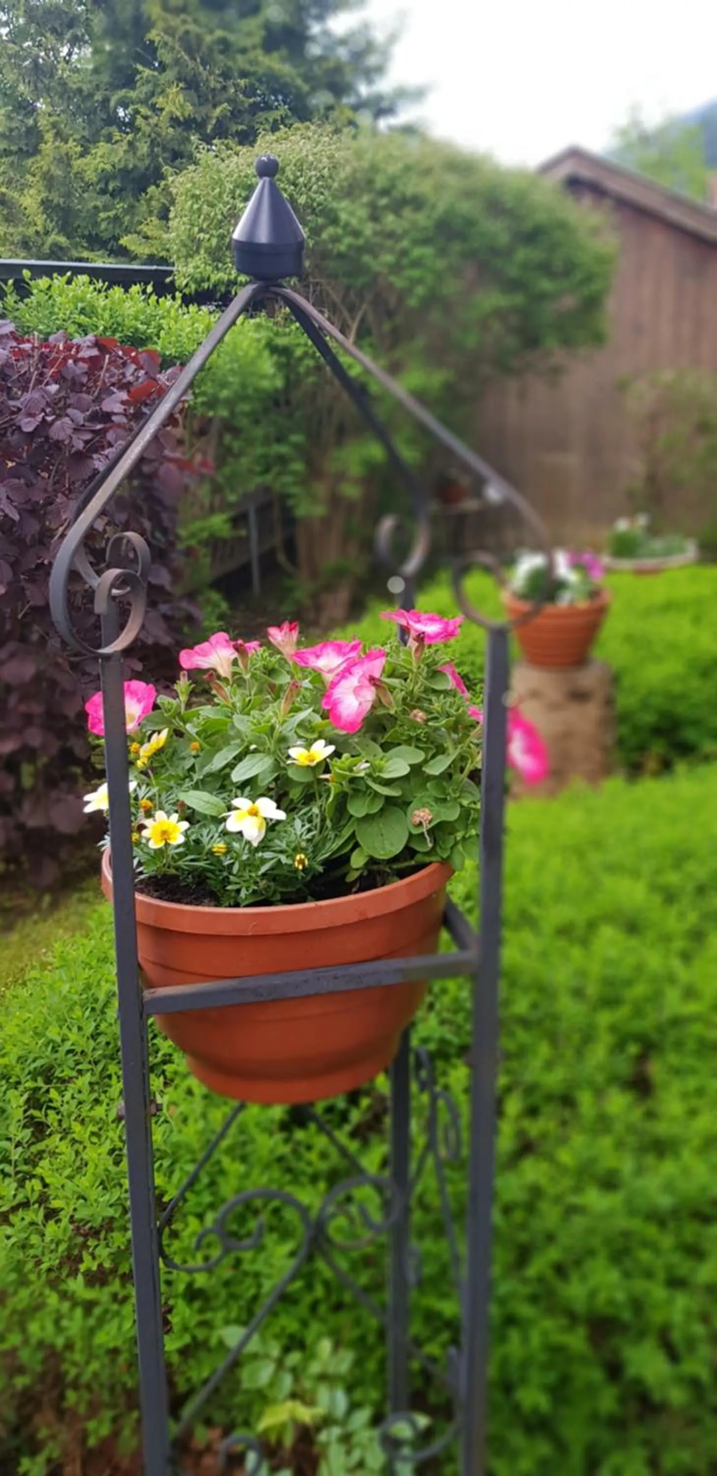 Garden view in Hotel Antonia