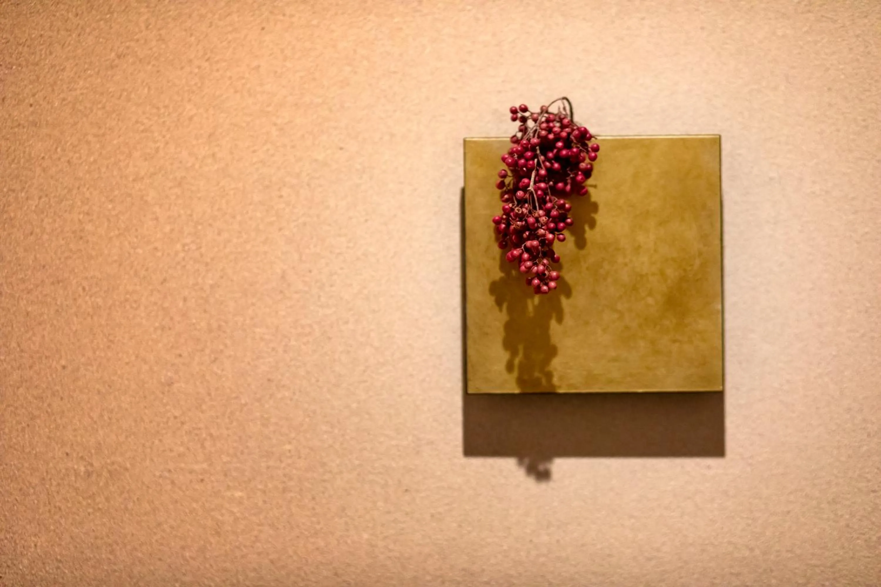 Area and facilities in Rinn Shirakawa South