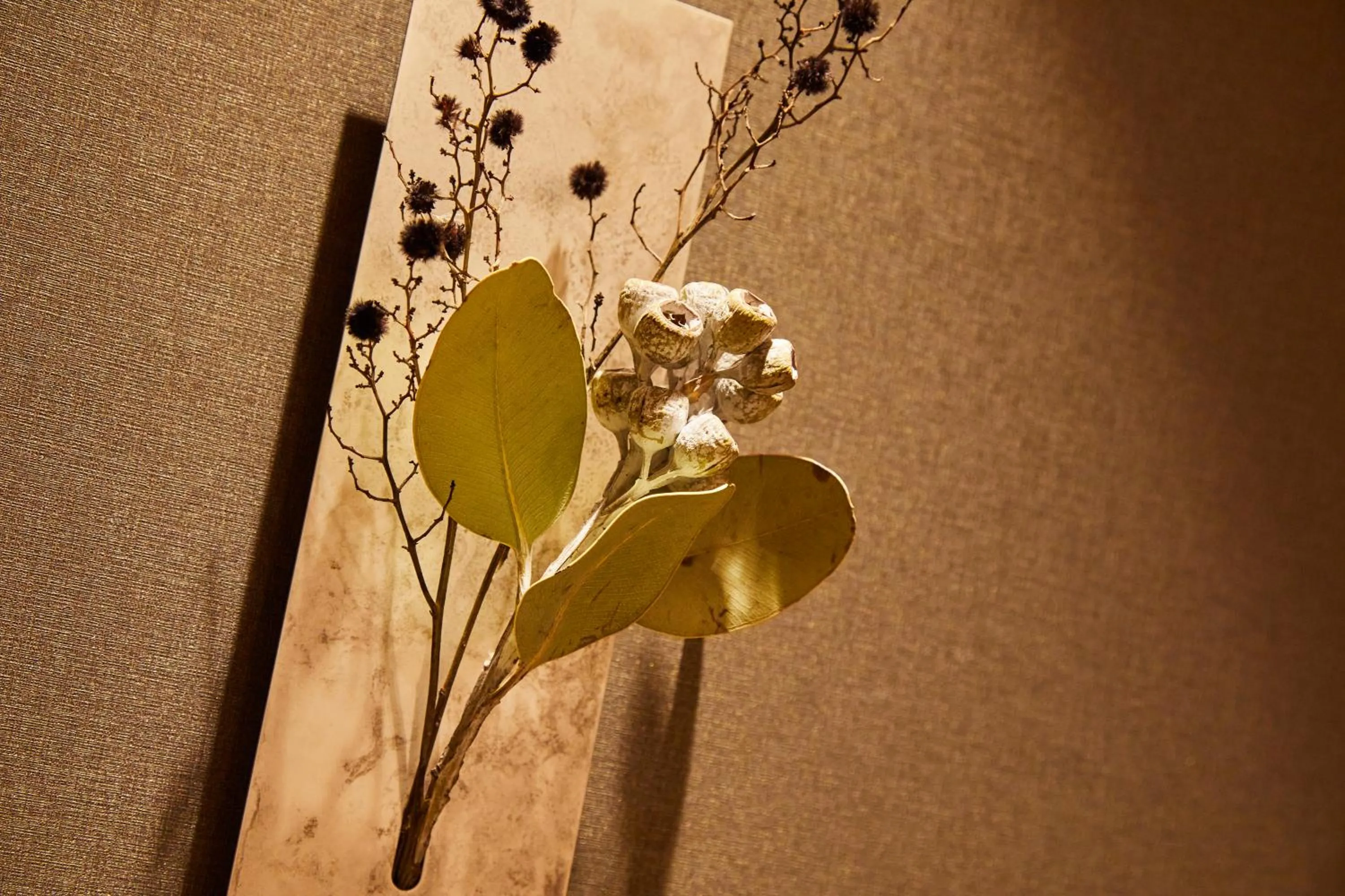 Other in Rinn Shirakawa South