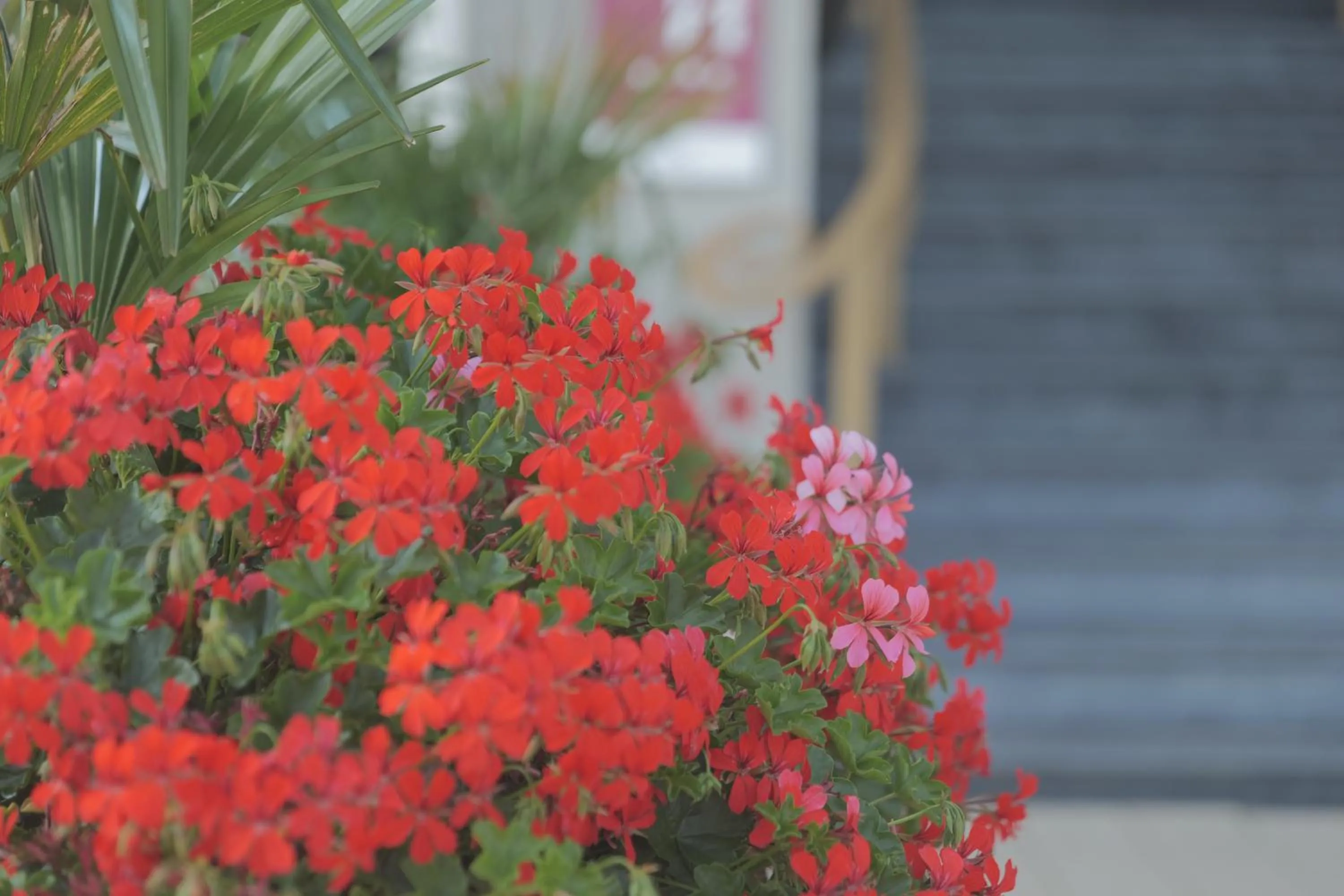 Property building in Hôtel Merveilleux Côté Mer