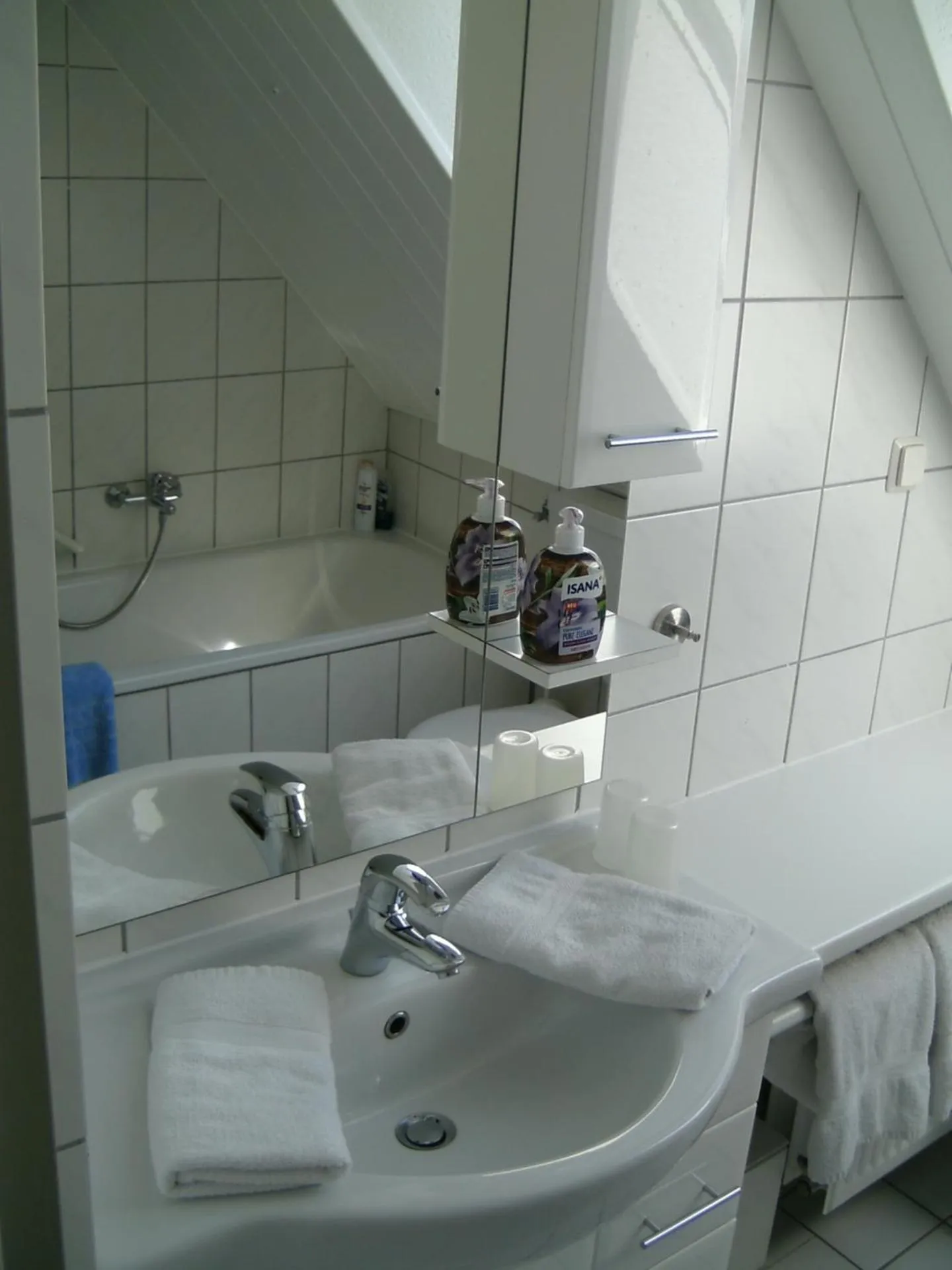 Bathroom in Leisewitz' Garten