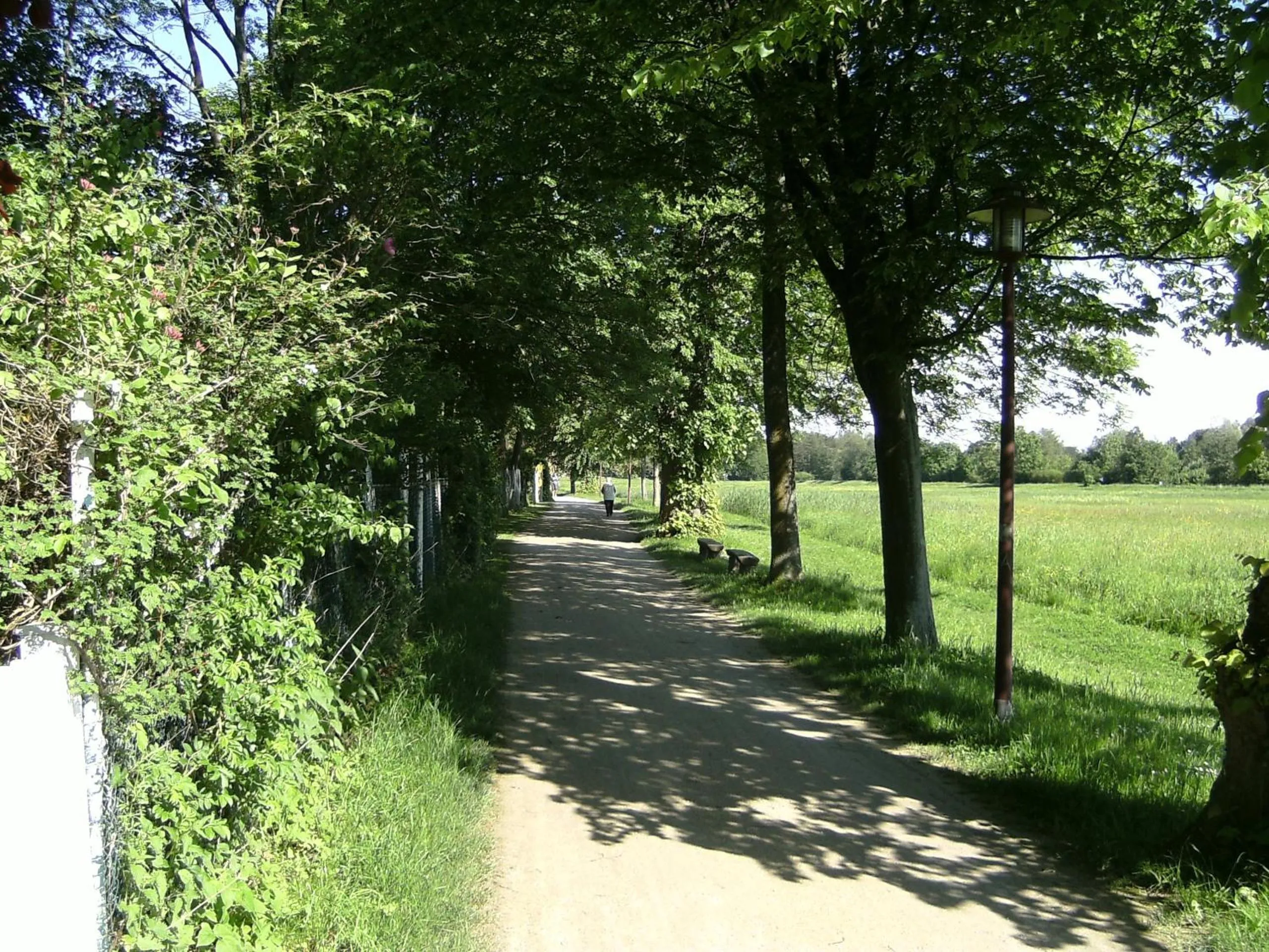 Natural landscape in Leisewitz' Garten