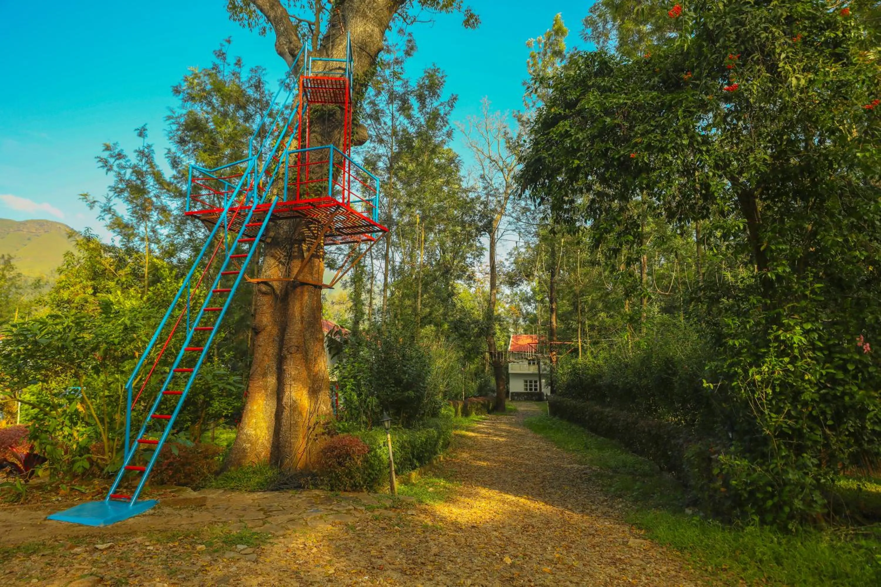 Entertainment in The Blossom Resort - Chikmagalur