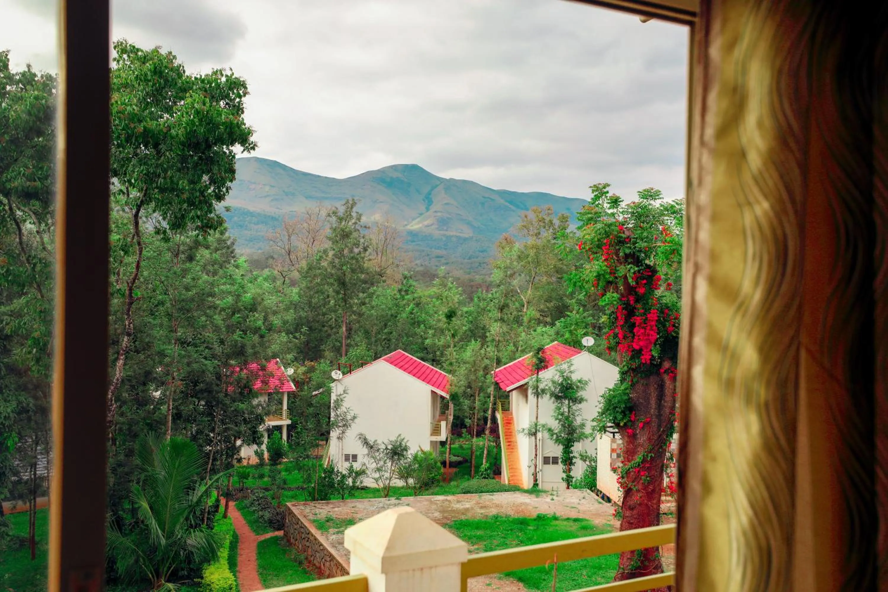 Mountain view in The Blossom Resort - Chikmagalur