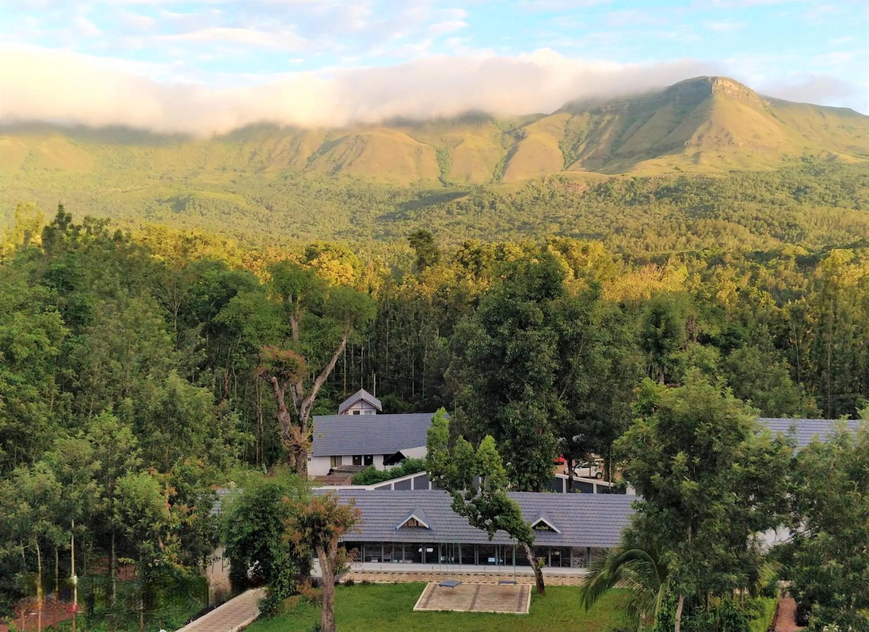 Mountain view in The Blossom Resort - Chikmagalur