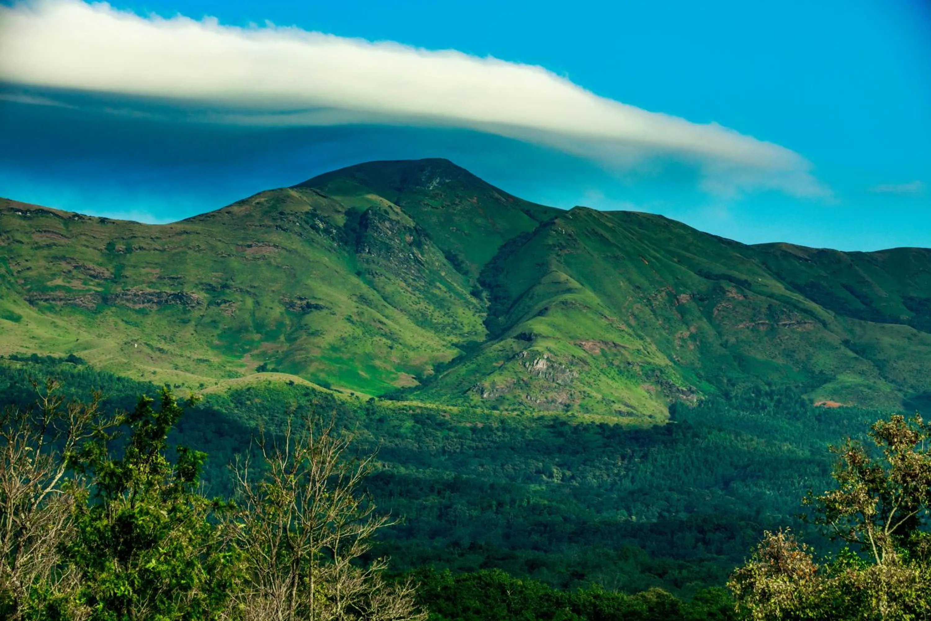 Mountain view in The Blossom Resort - Chikmagalur