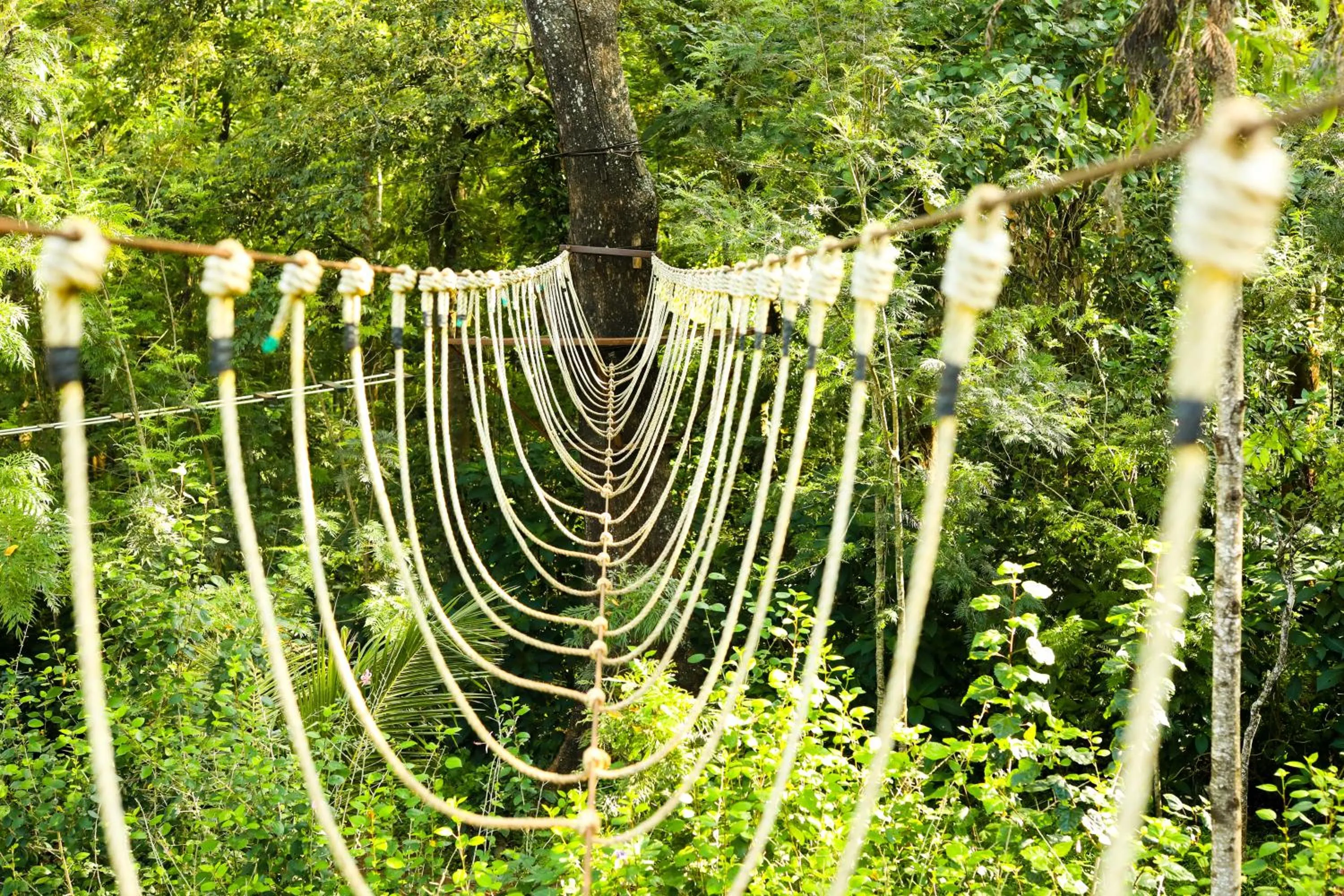 Activities in The Blossom Resort - Chikmagalur