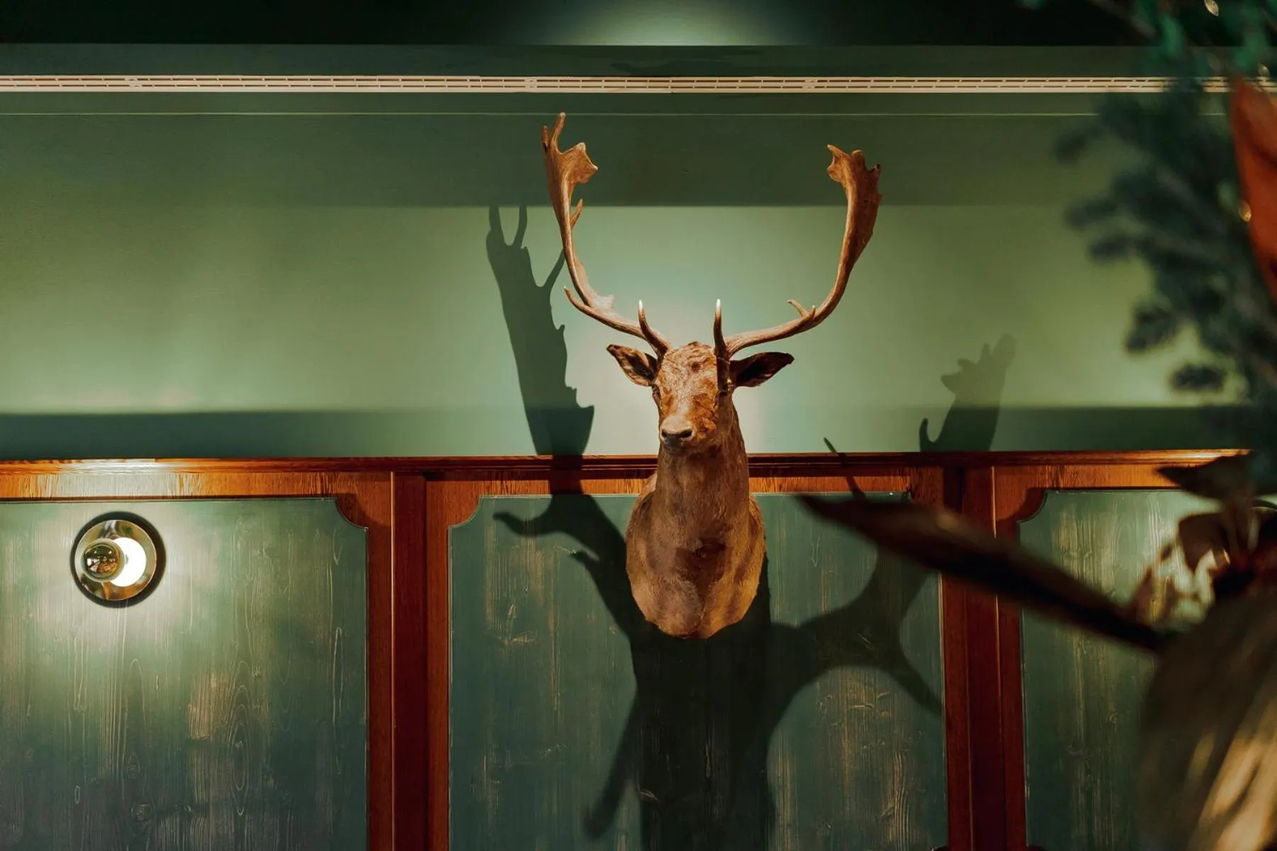 Animals in Forsthaus Wörnbrunn