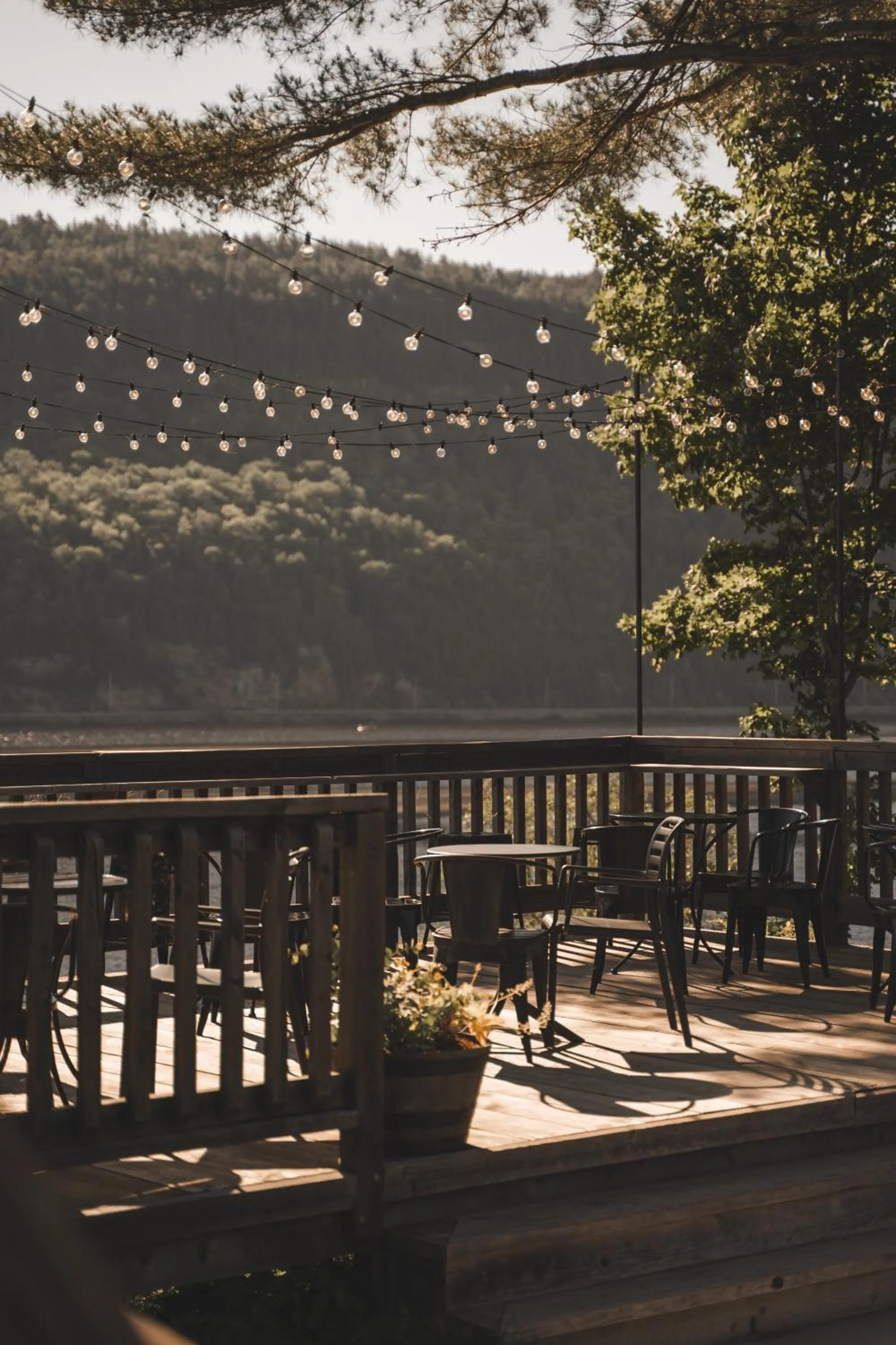 Summer in Le 2800 du Parc