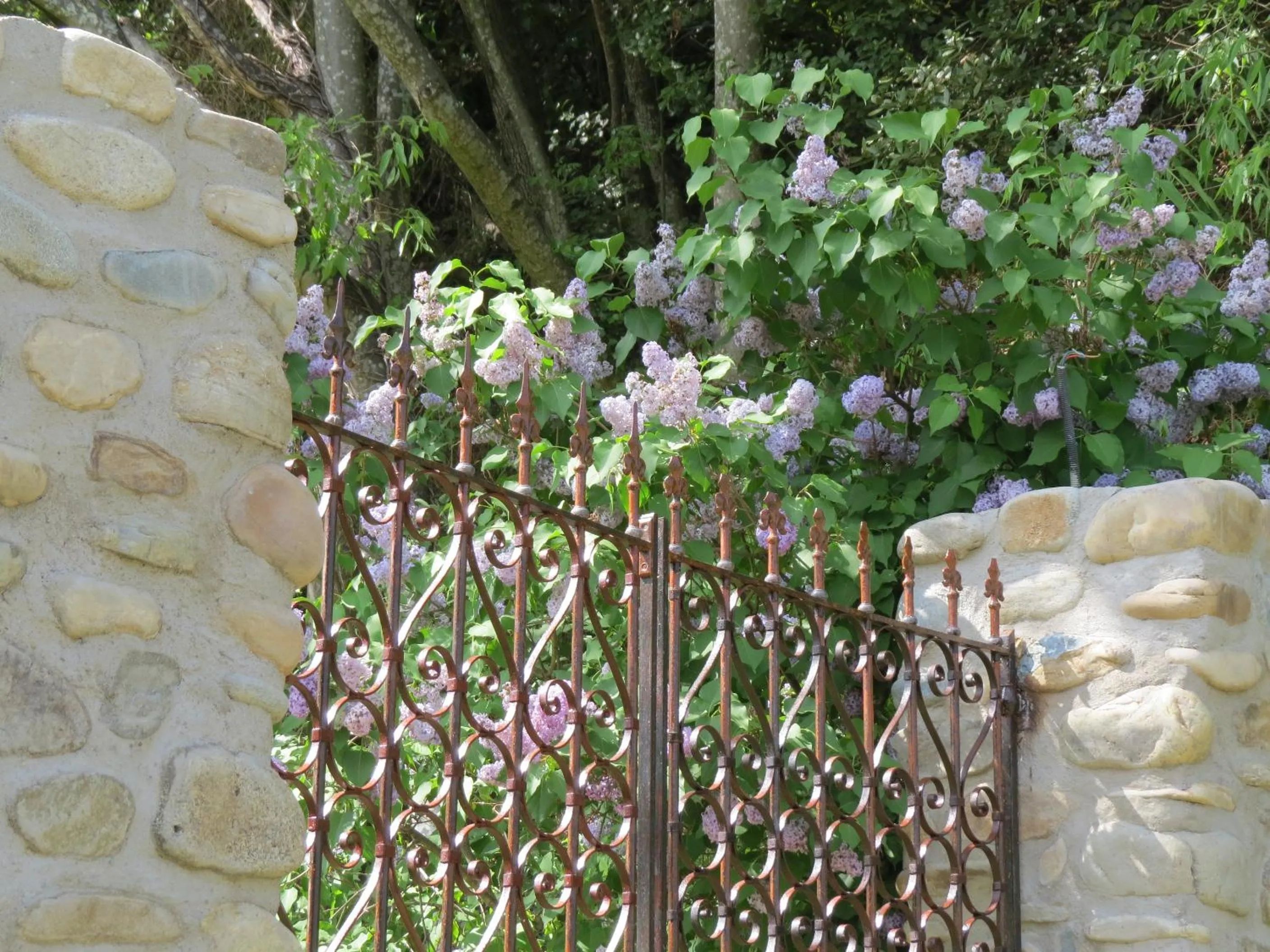 Natural landscape in Chez Cécile et Mickaël