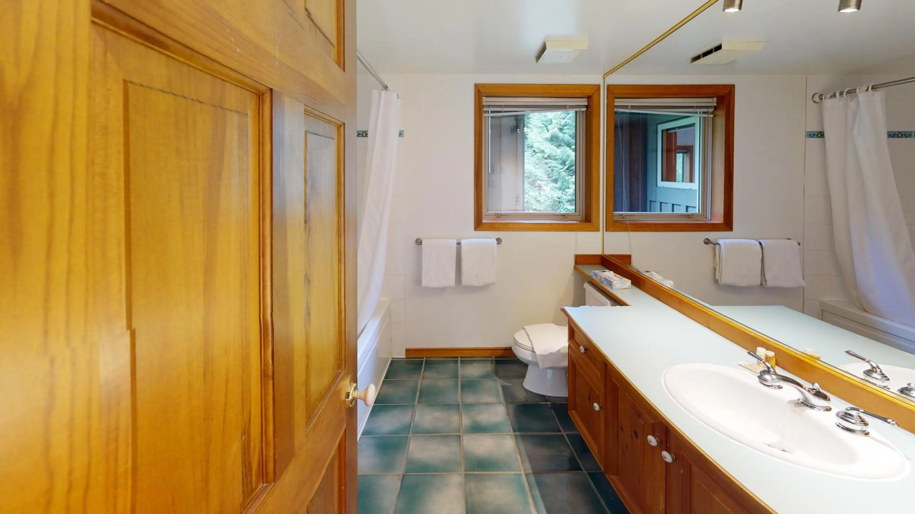 Painted Cliff by Whistler Premier