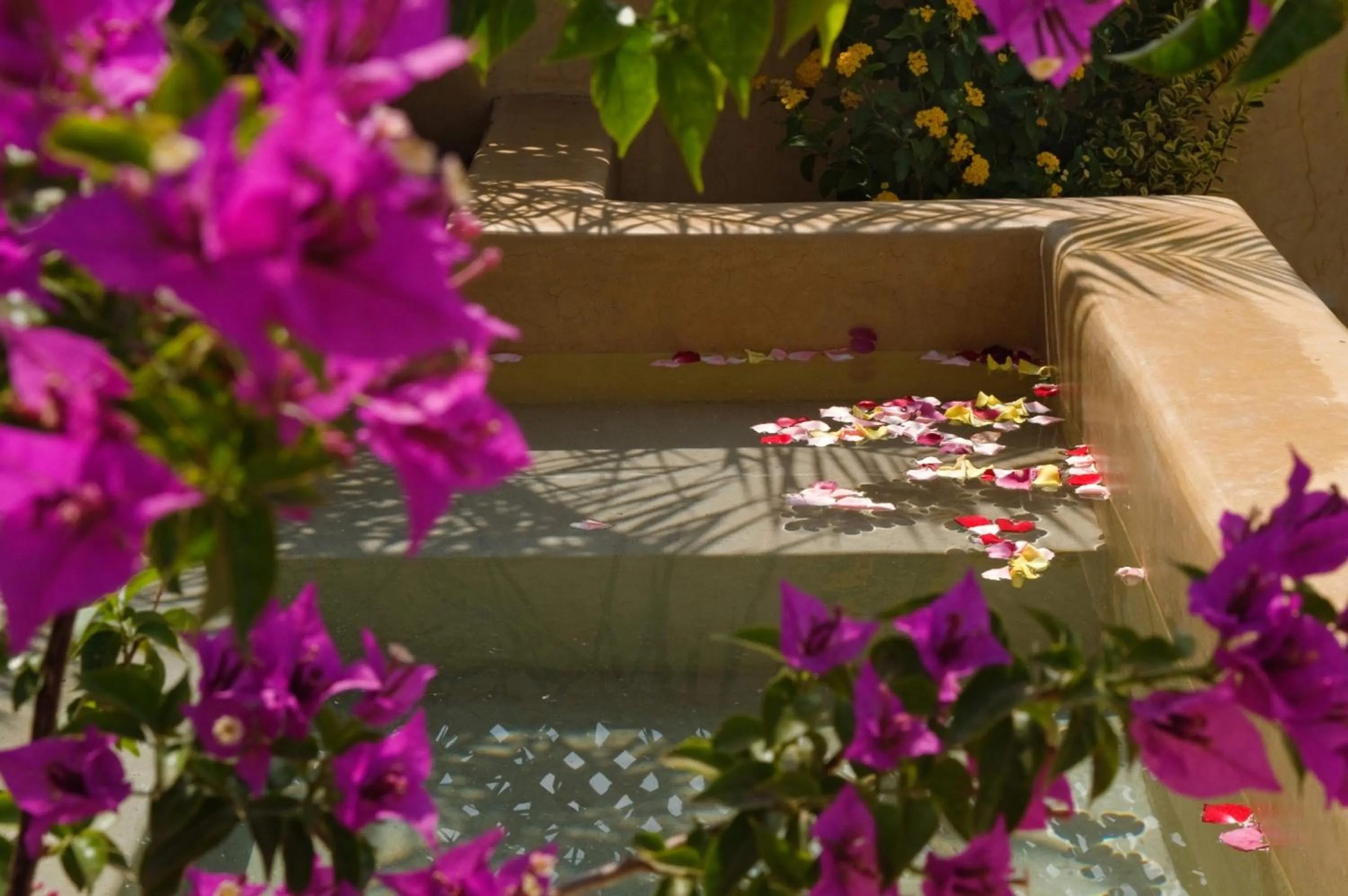 Swimming pool in Riad Cinnamon by Marrakech Riad