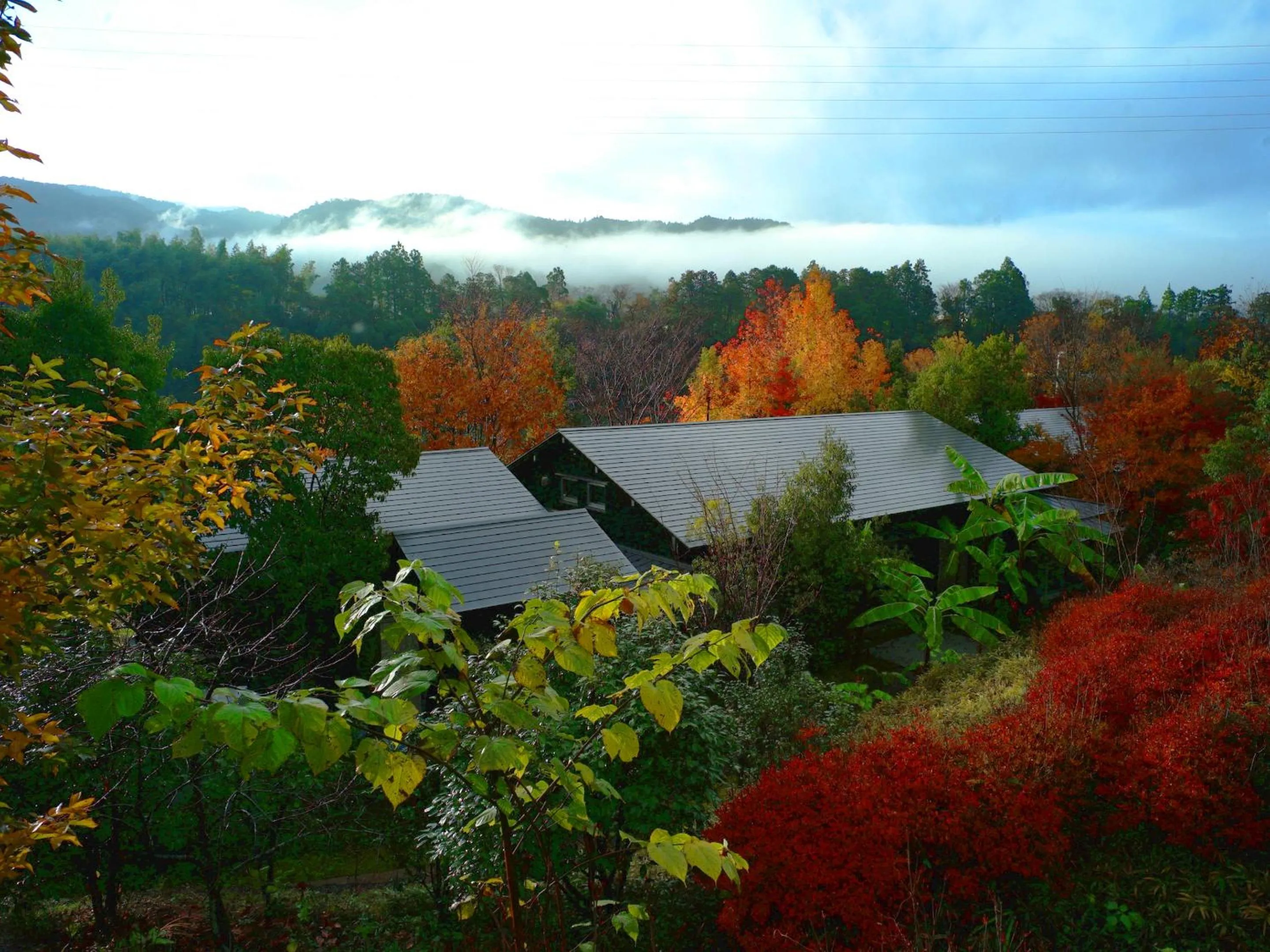 Bird's eye view in Kohanyu