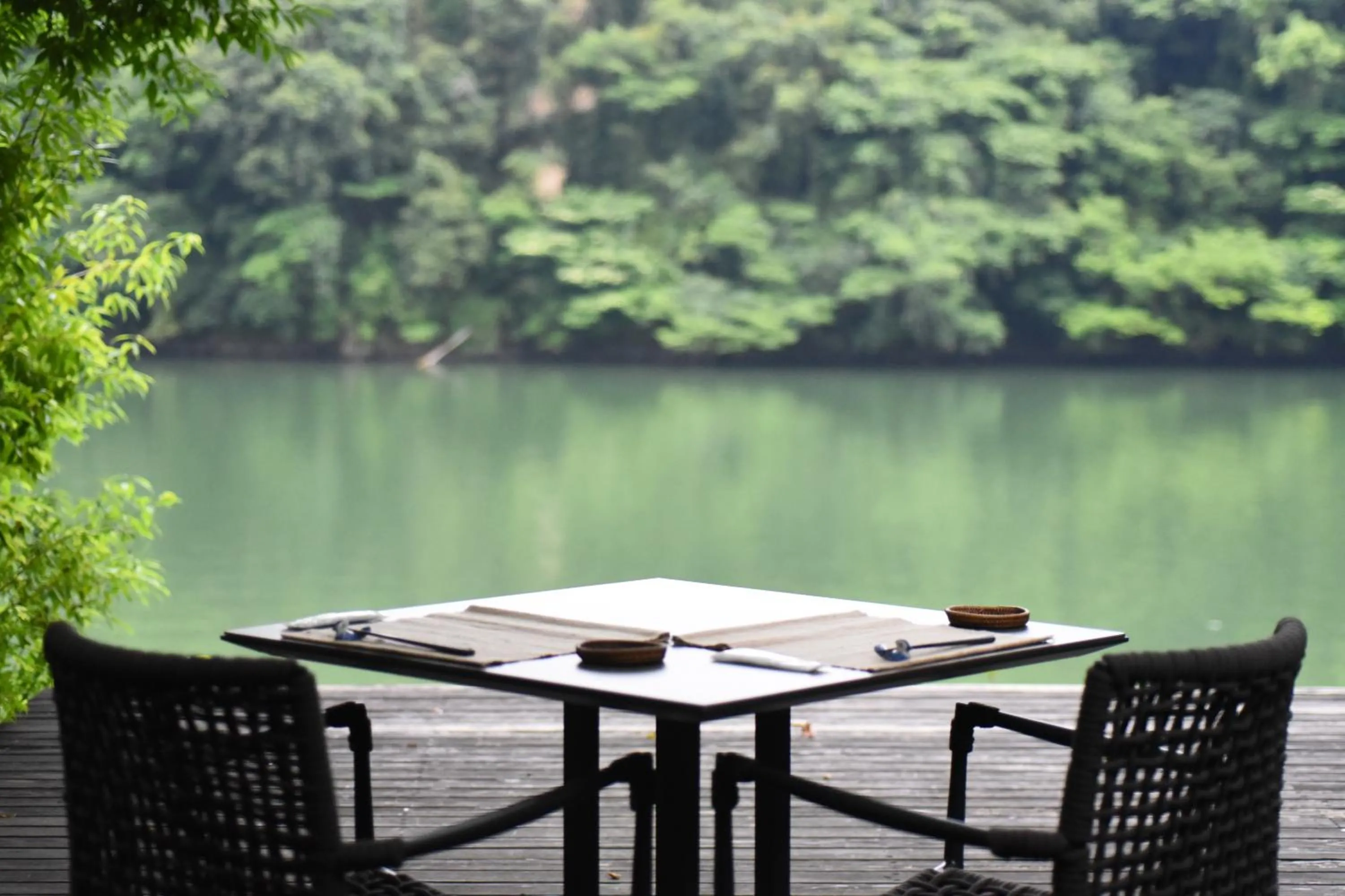 Restaurant/places to eat in Kohanyu