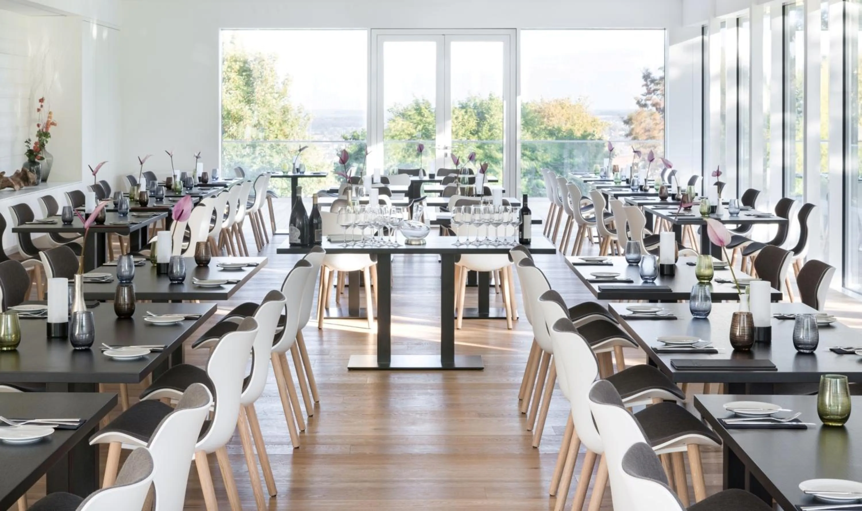 Restaurant/places to eat in SCOTTY & EMILY Hotel Ulm