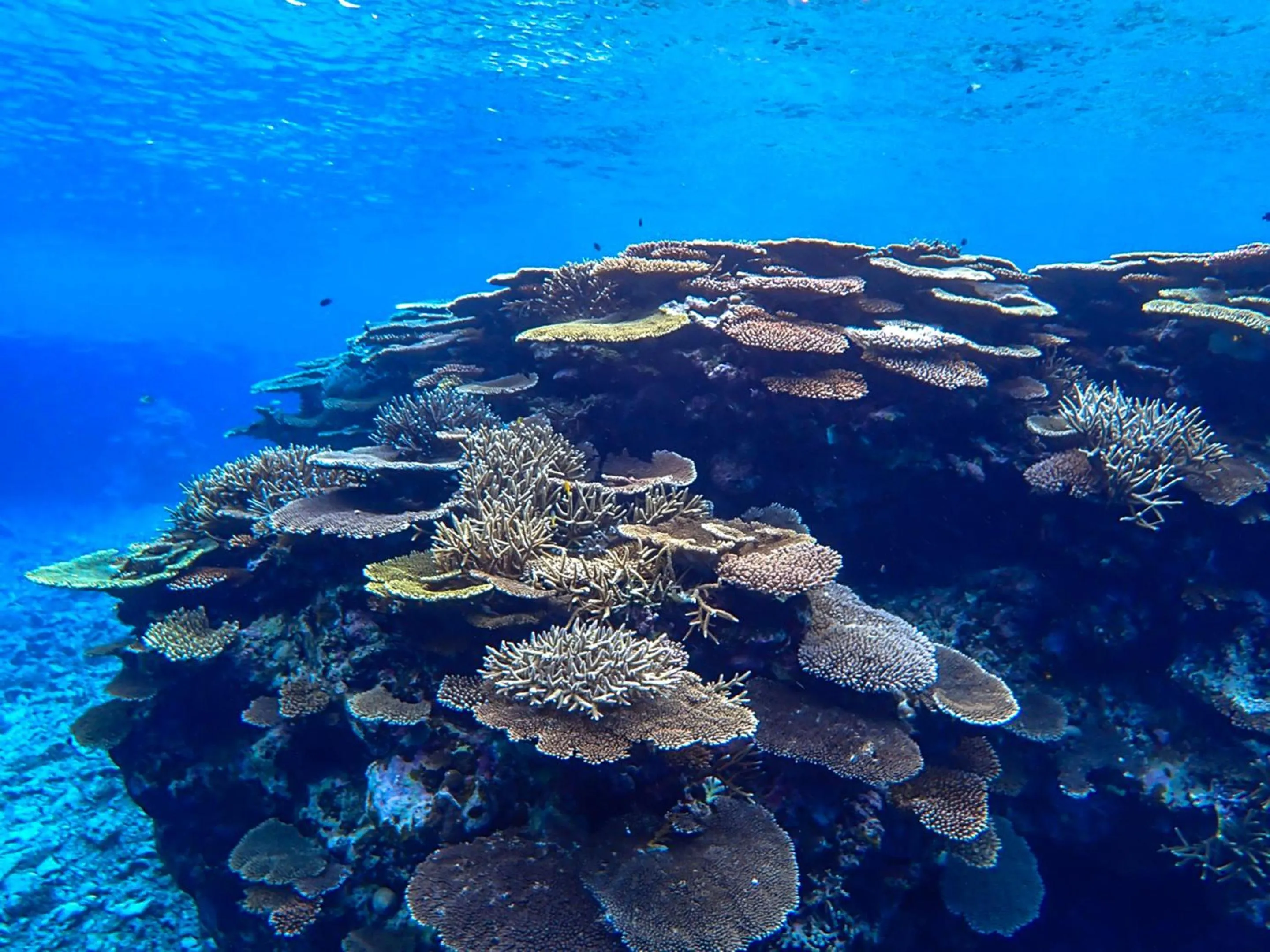Natural landscape in Ocean Front Maezato