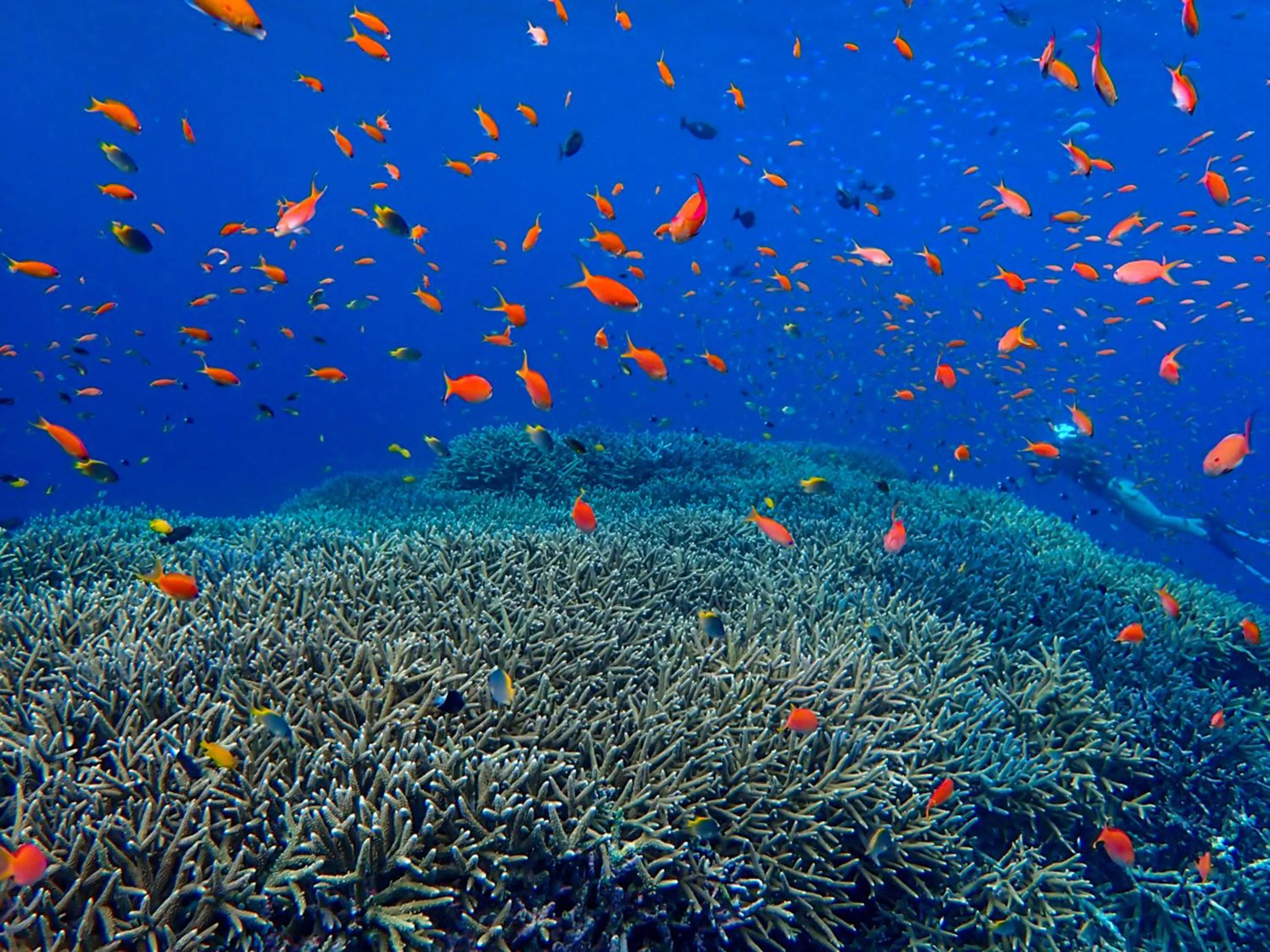 Off site in Ocean Front Maezato