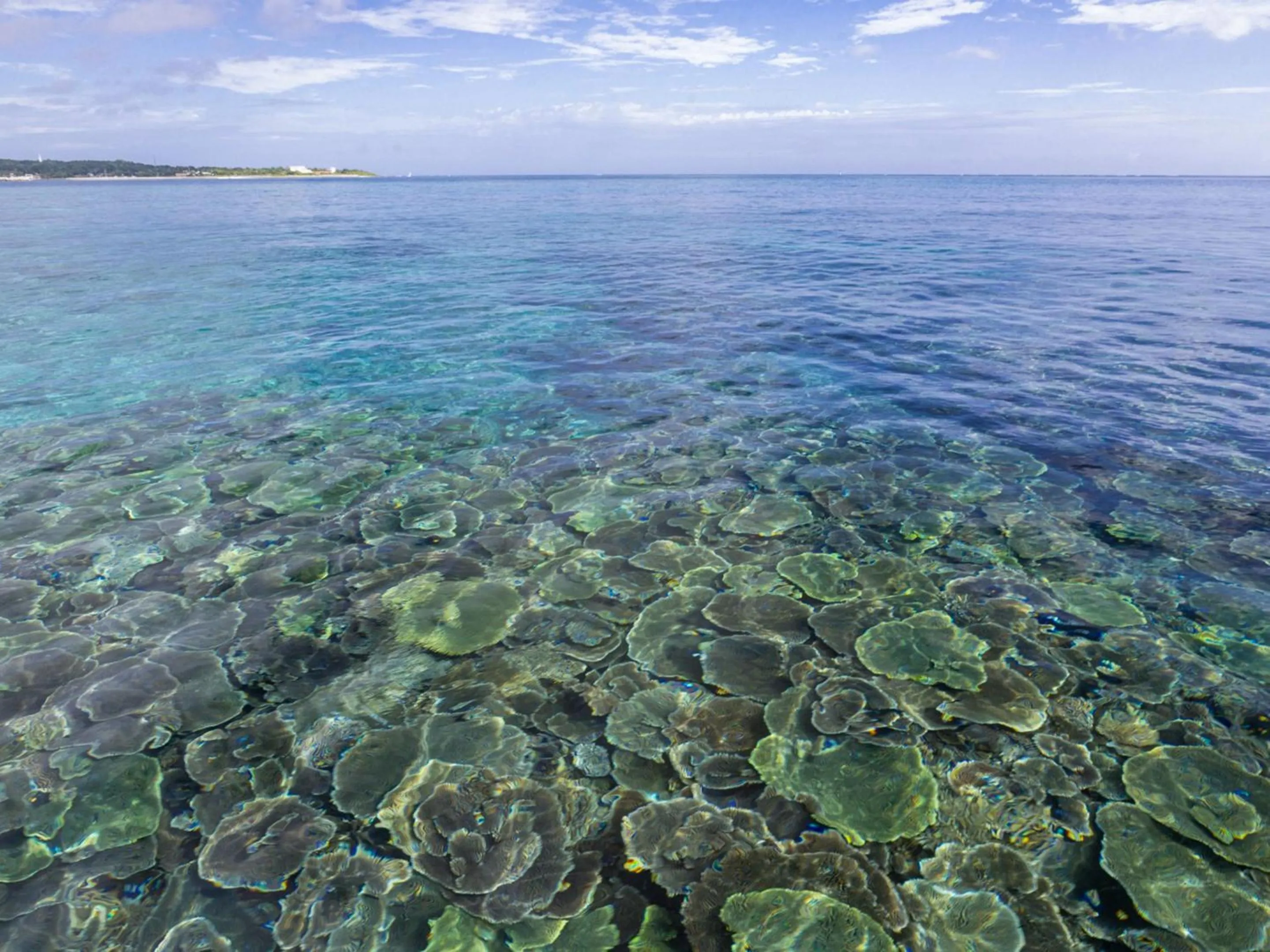 Natural landscape in Ocean Front Maezato