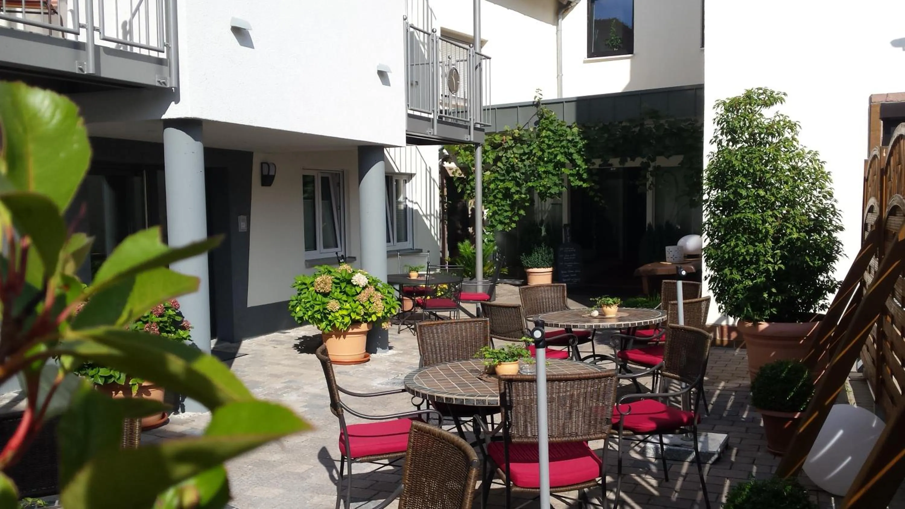 Balcony/Terrace in Hotel-Restaurant Pfälzer Hof