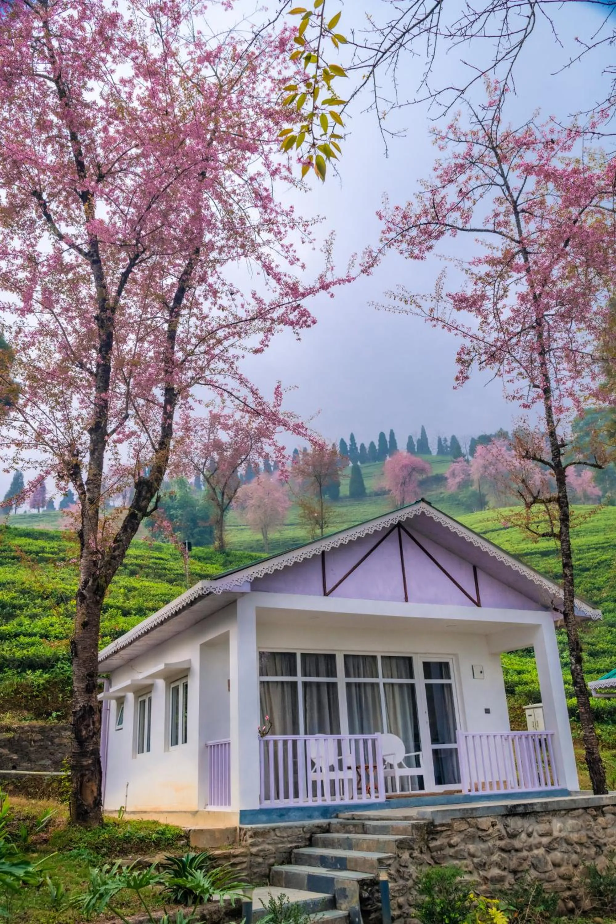 Property building in The Temi Bungalow South Sikkim