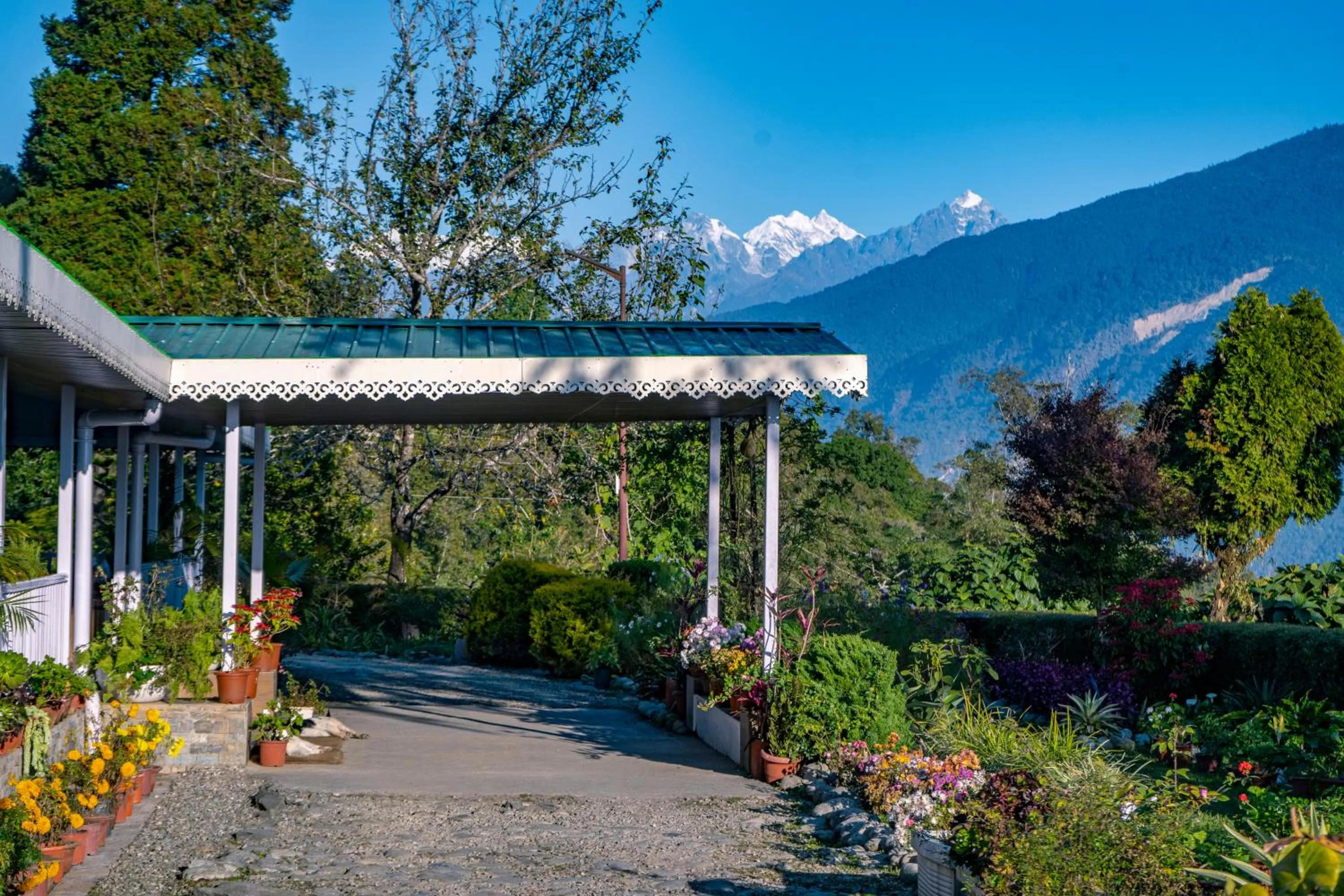 Property building in The Temi Bungalow South Sikkim