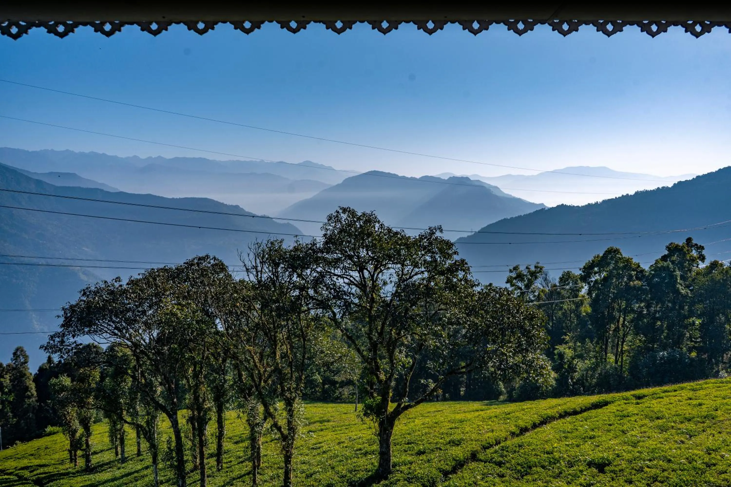 View (from property/room) in The Temi Bungalow South Sikkim
