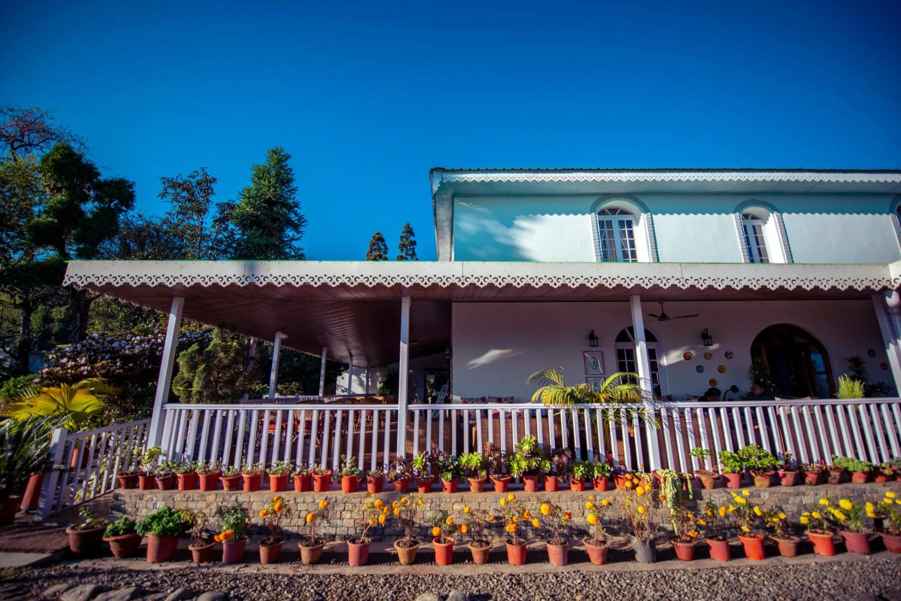 Property building in The Temi Bungalow South Sikkim