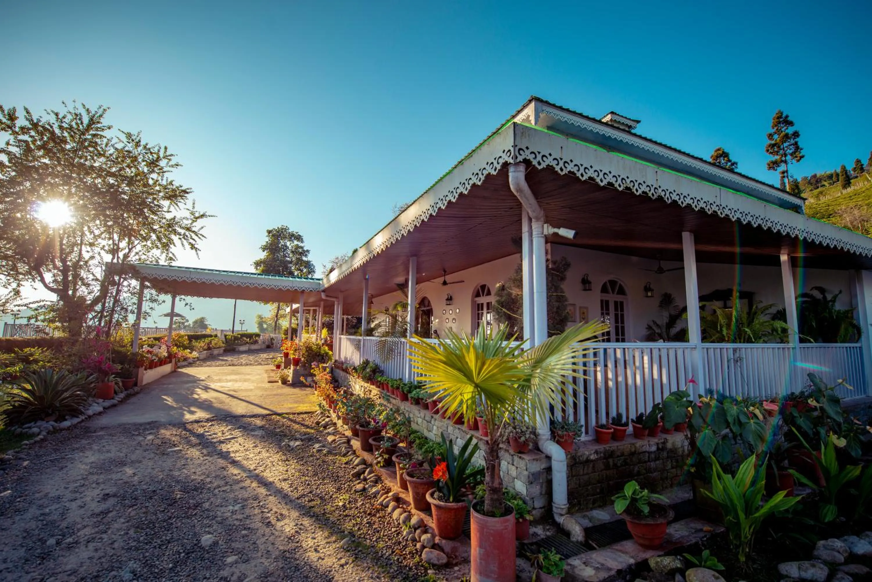 Property building in The Temi Bungalow South Sikkim