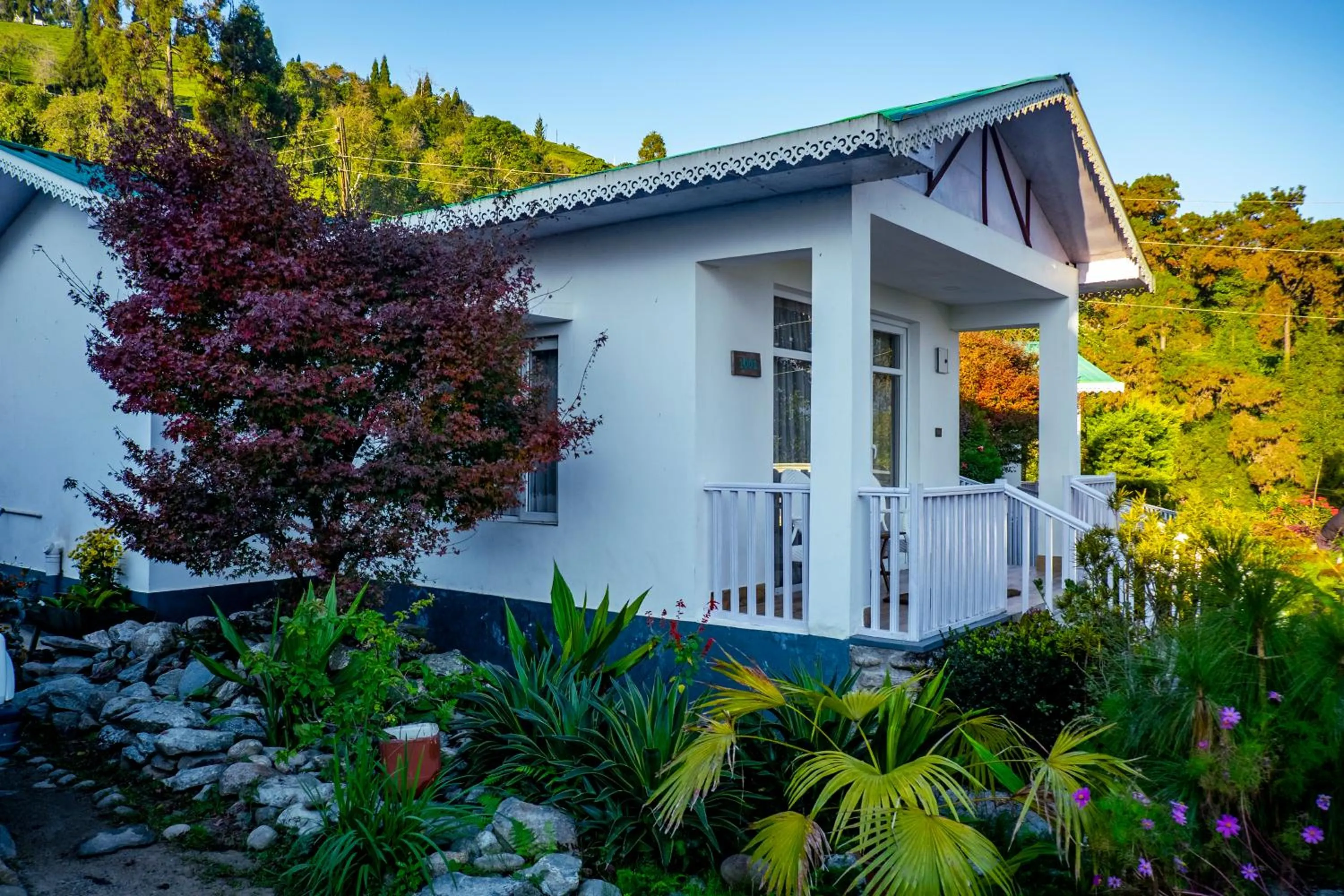 Property building in The Temi Bungalow South Sikkim