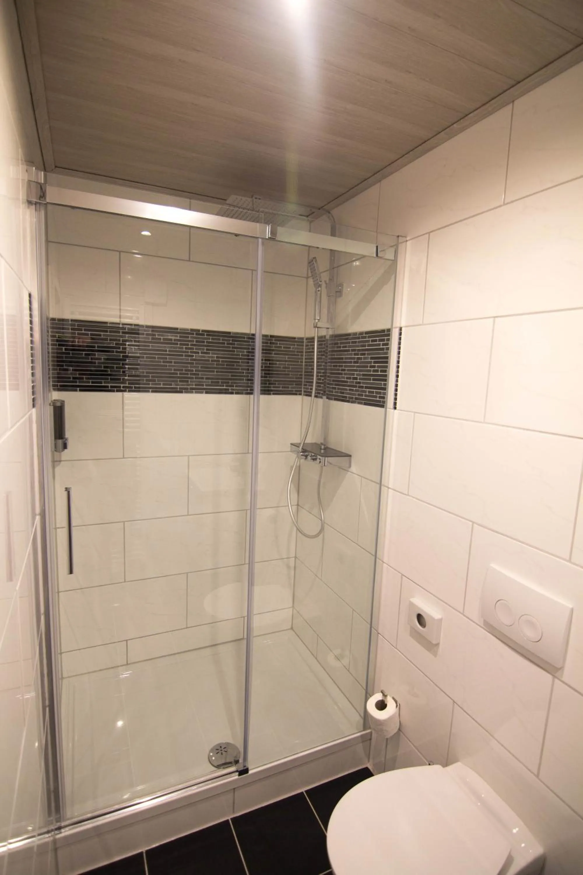 Shower in Villa Kopp-Das Gästehaus