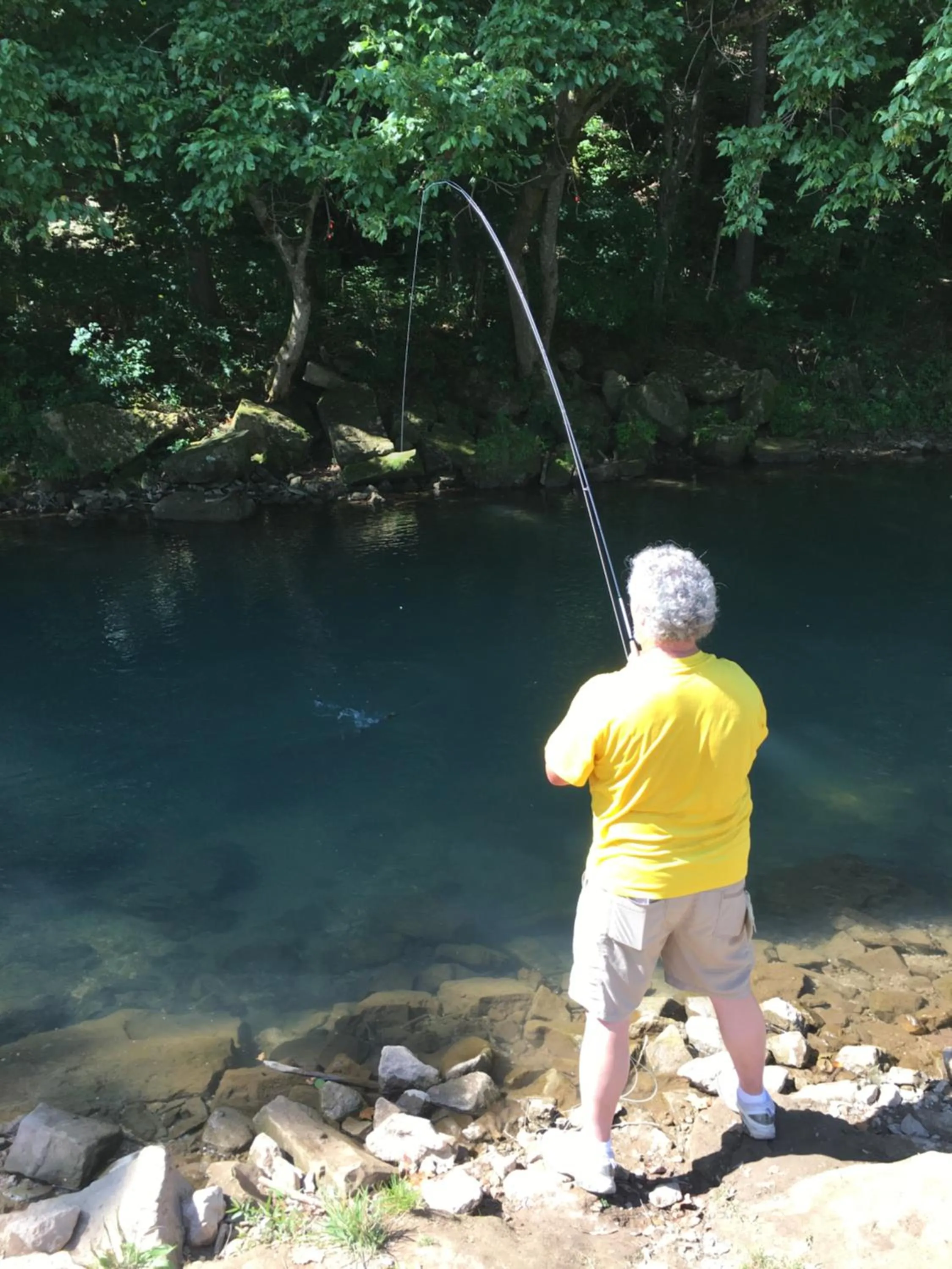 Cassville Four Seasons Inn & Suites