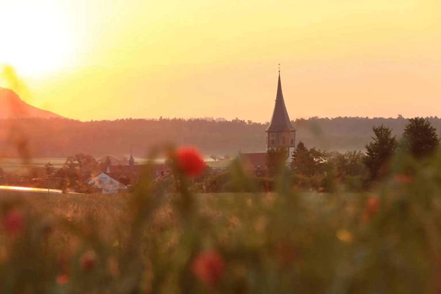 Neighbourhood in Landidyll Hotel Lamm