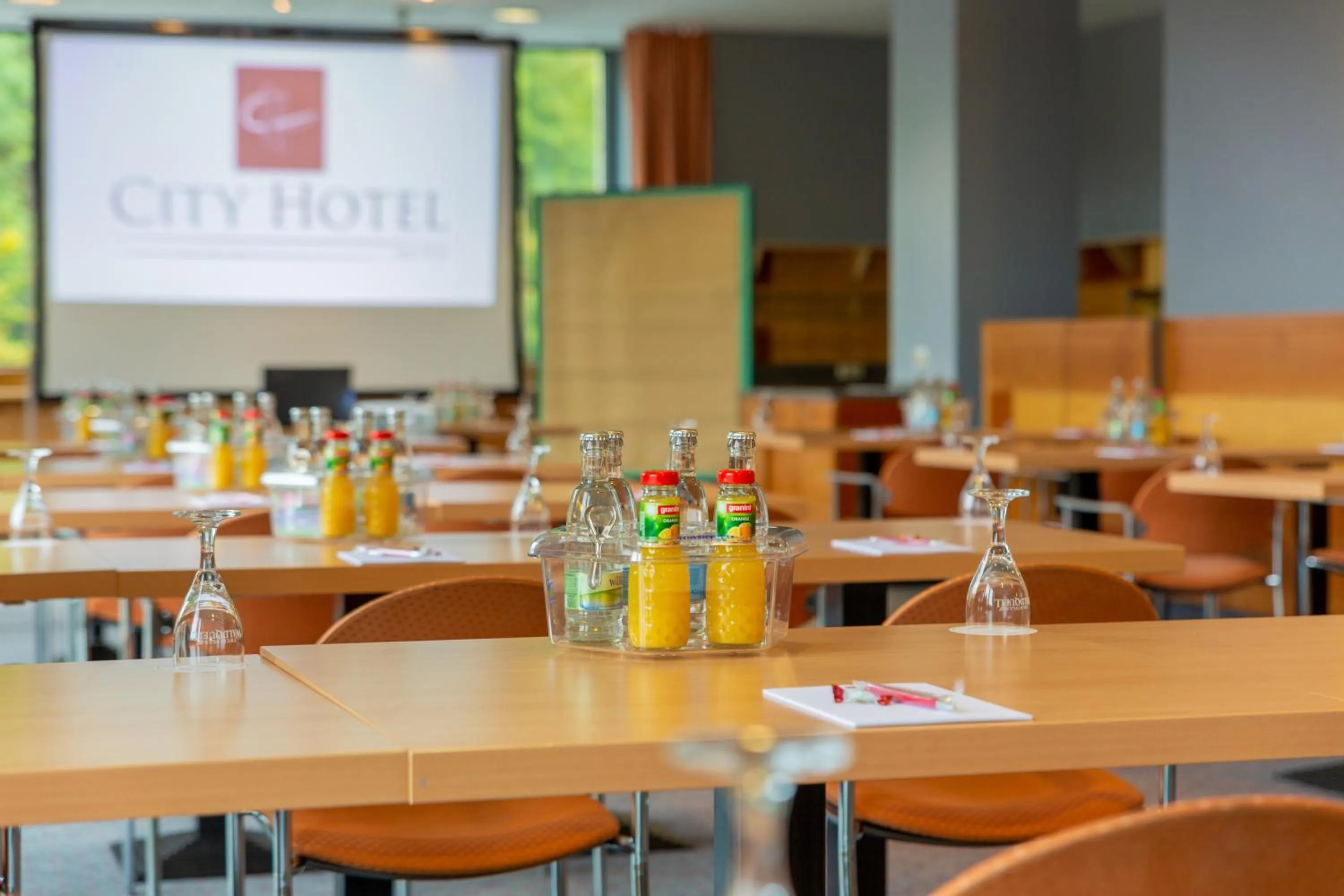Meeting/conference room in City Hotel Suhl