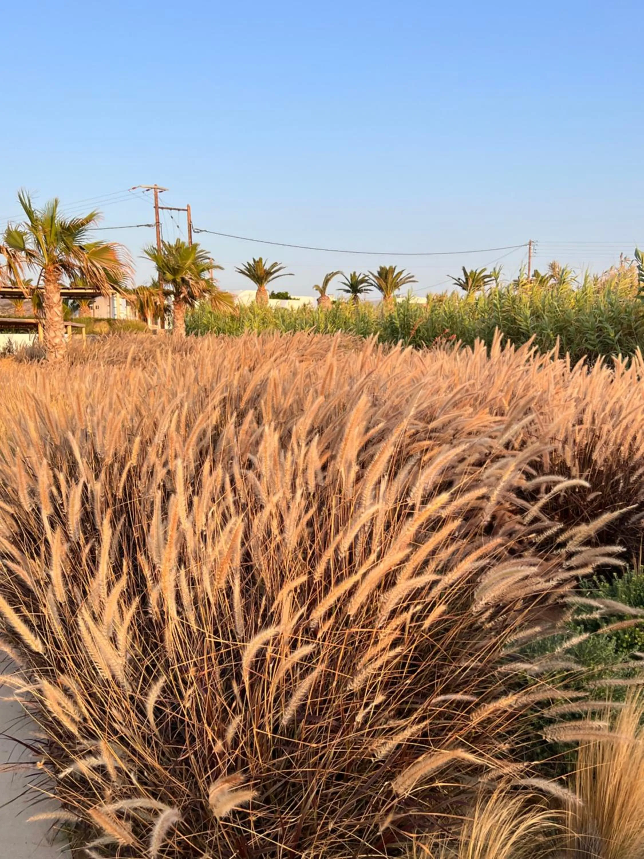Natural landscape in Seesoo Paros Beachfront Resort