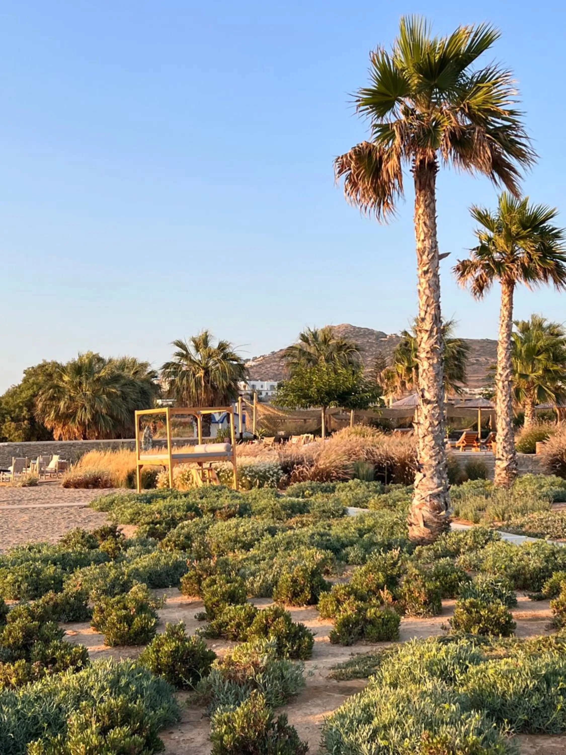 Garden in Seesoo Paros Beachfront Resort