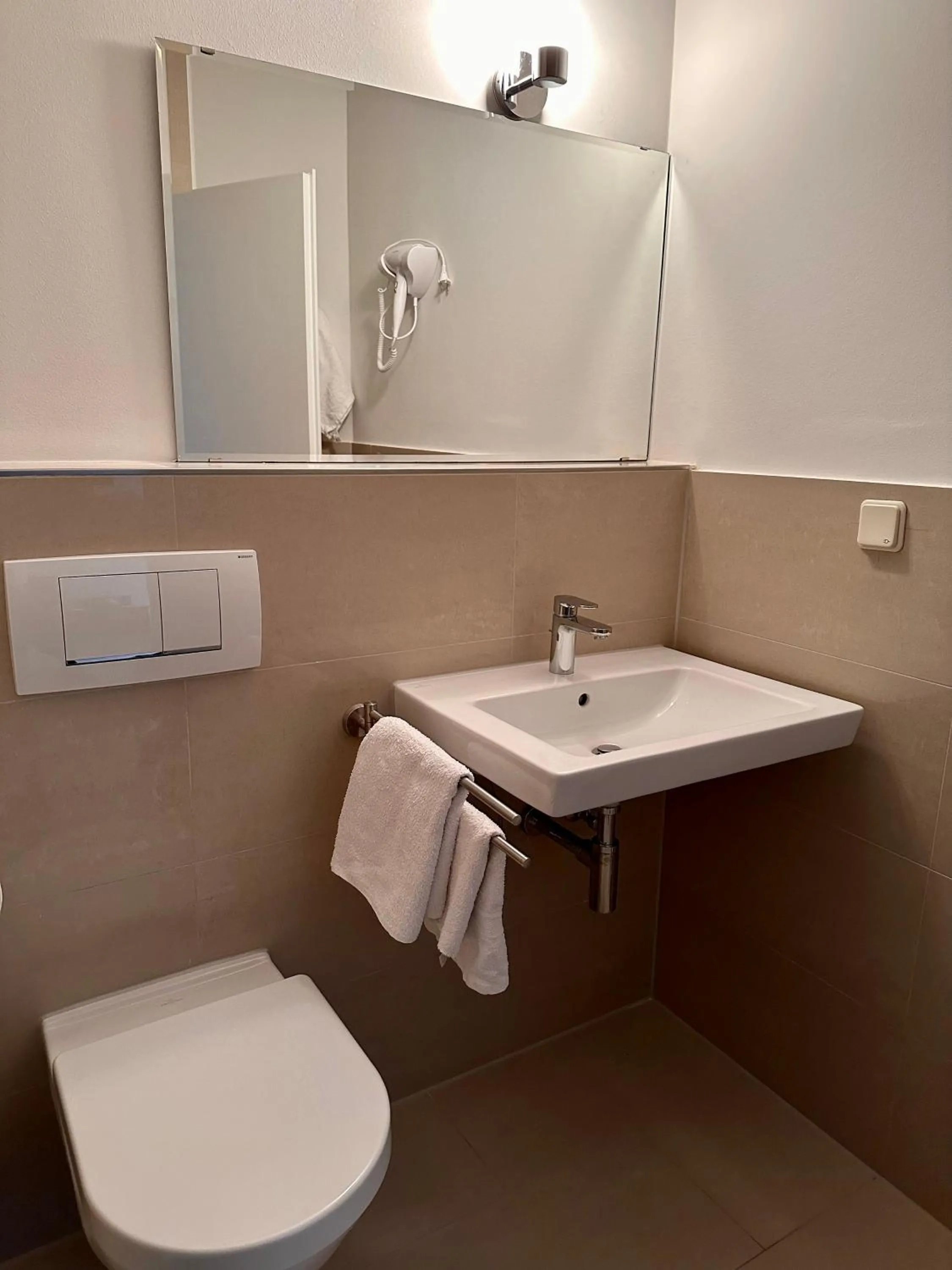 Toilet in Altstadthotel Hayk am Rhein