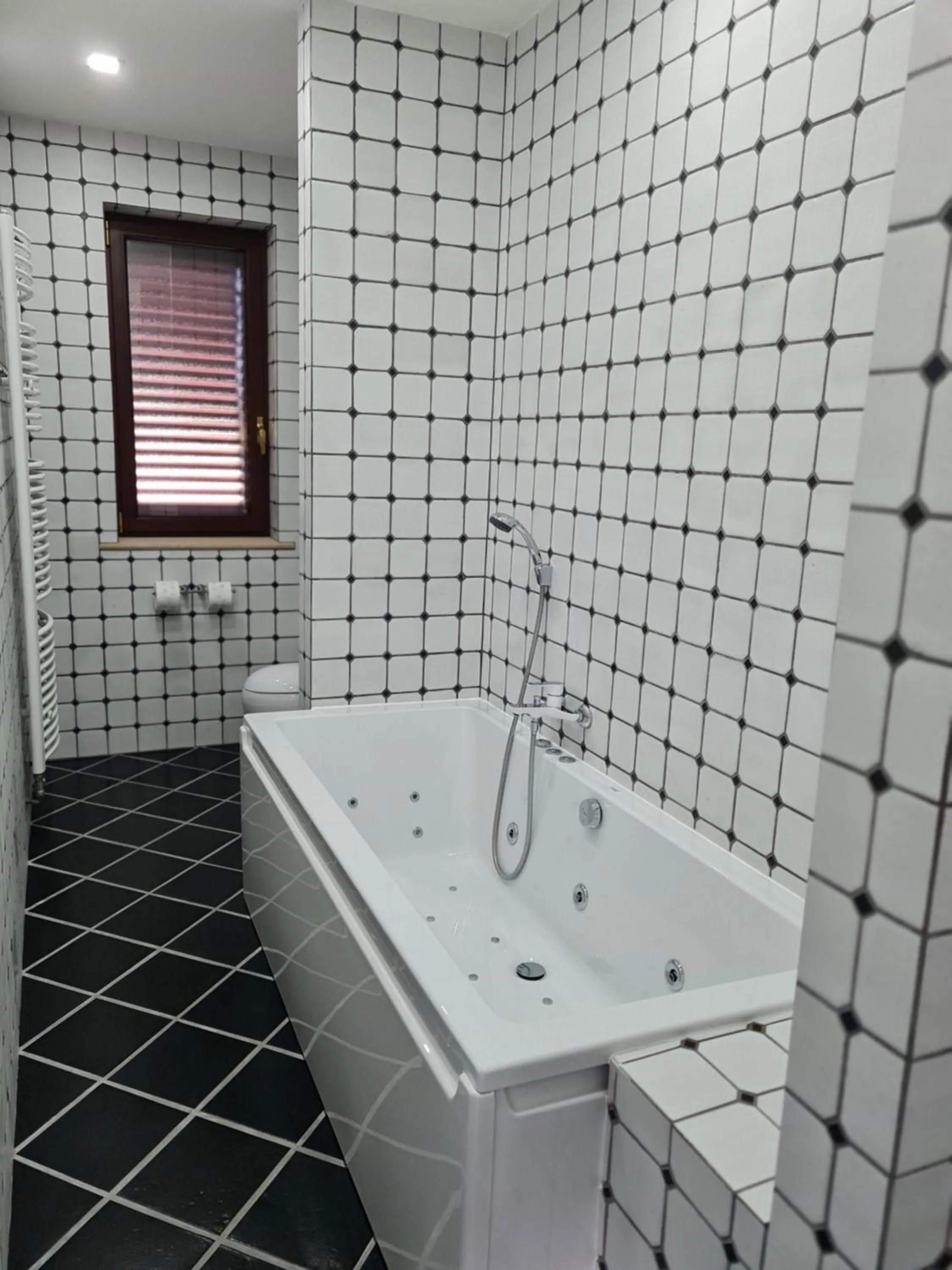 Bathroom in Atrium-Accomm