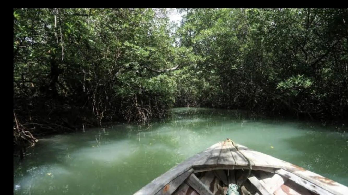 Flat Moitas - Sua casa na praia!