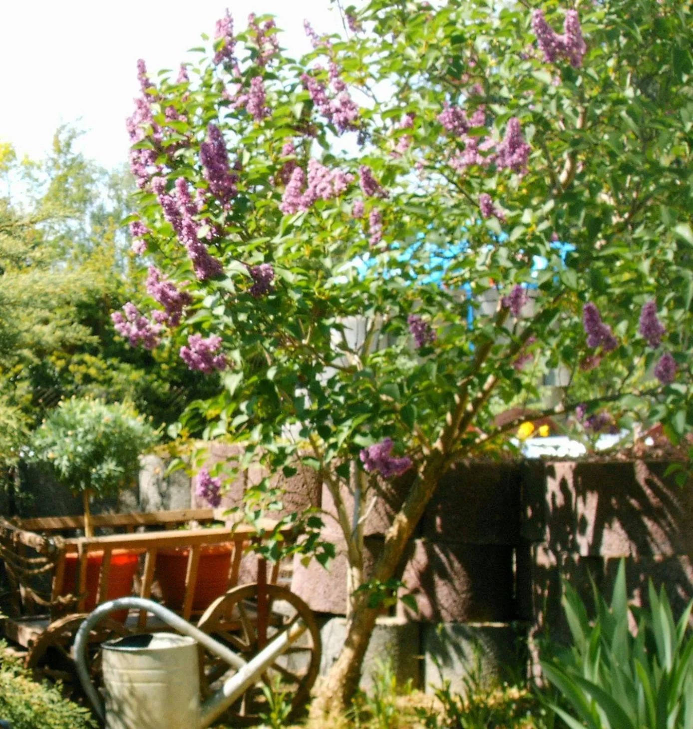 Other in Hotel Zwei Linden