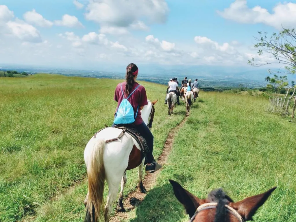 Horse-riding in Hotel Restaurante Selva Negra