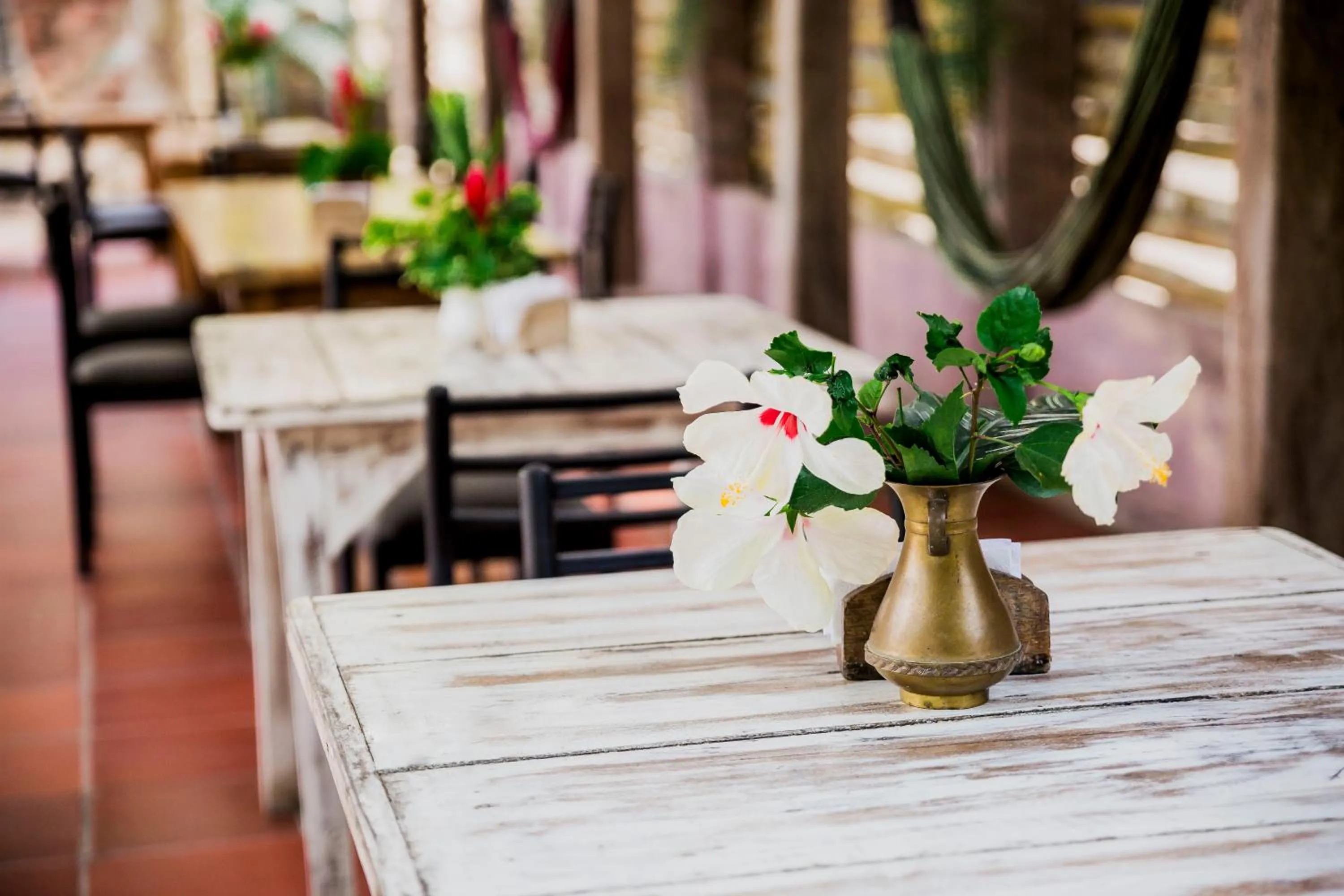 Hotel Restaurante Selva Negra