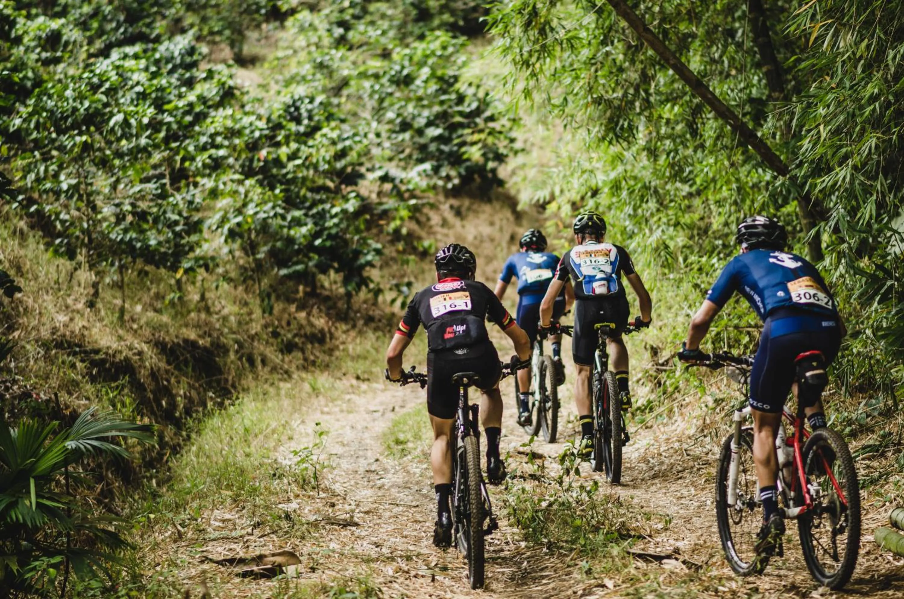 Hotel Restaurante Selva Negra