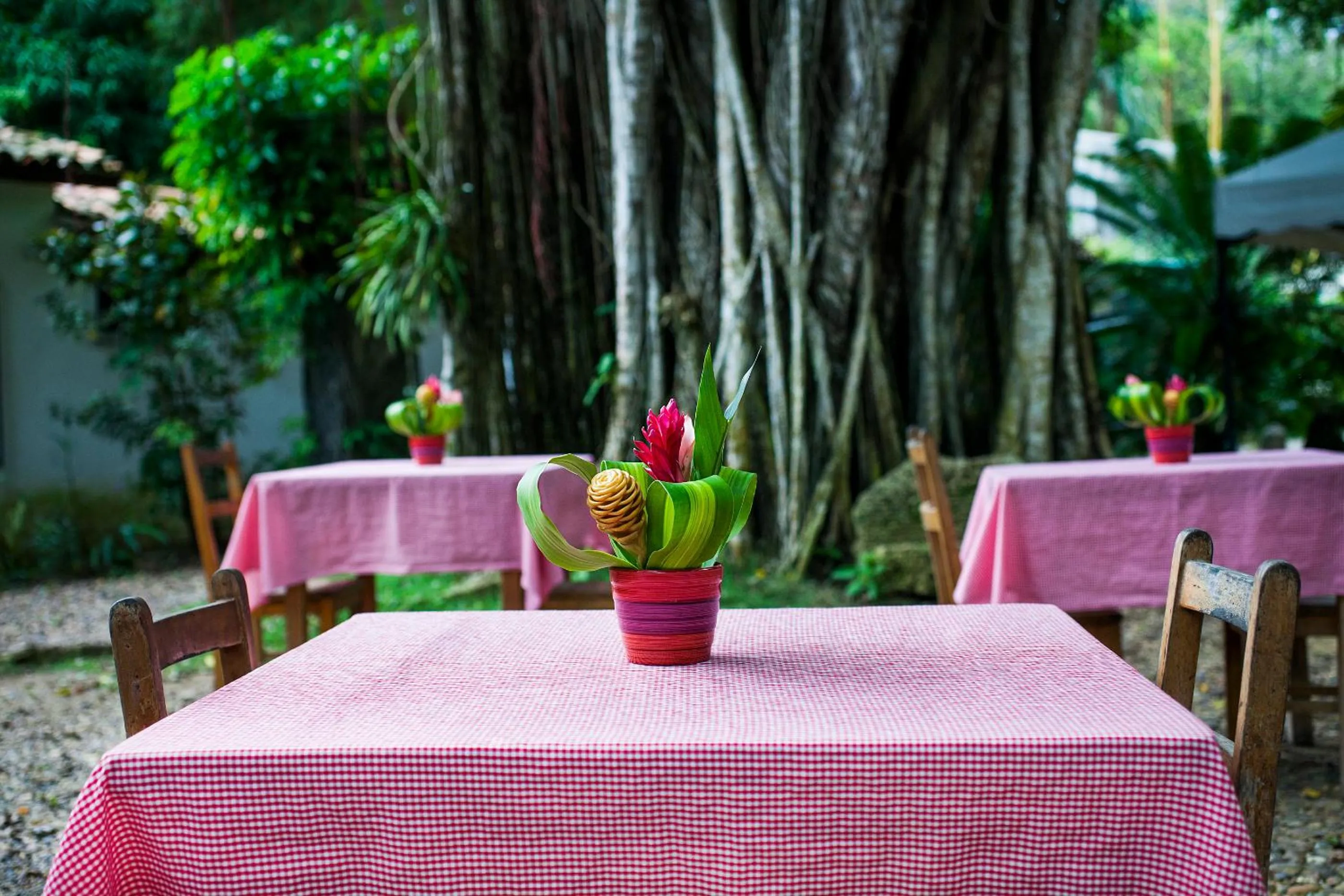 Restaurant/places to eat in Hotel Restaurante Selva Negra