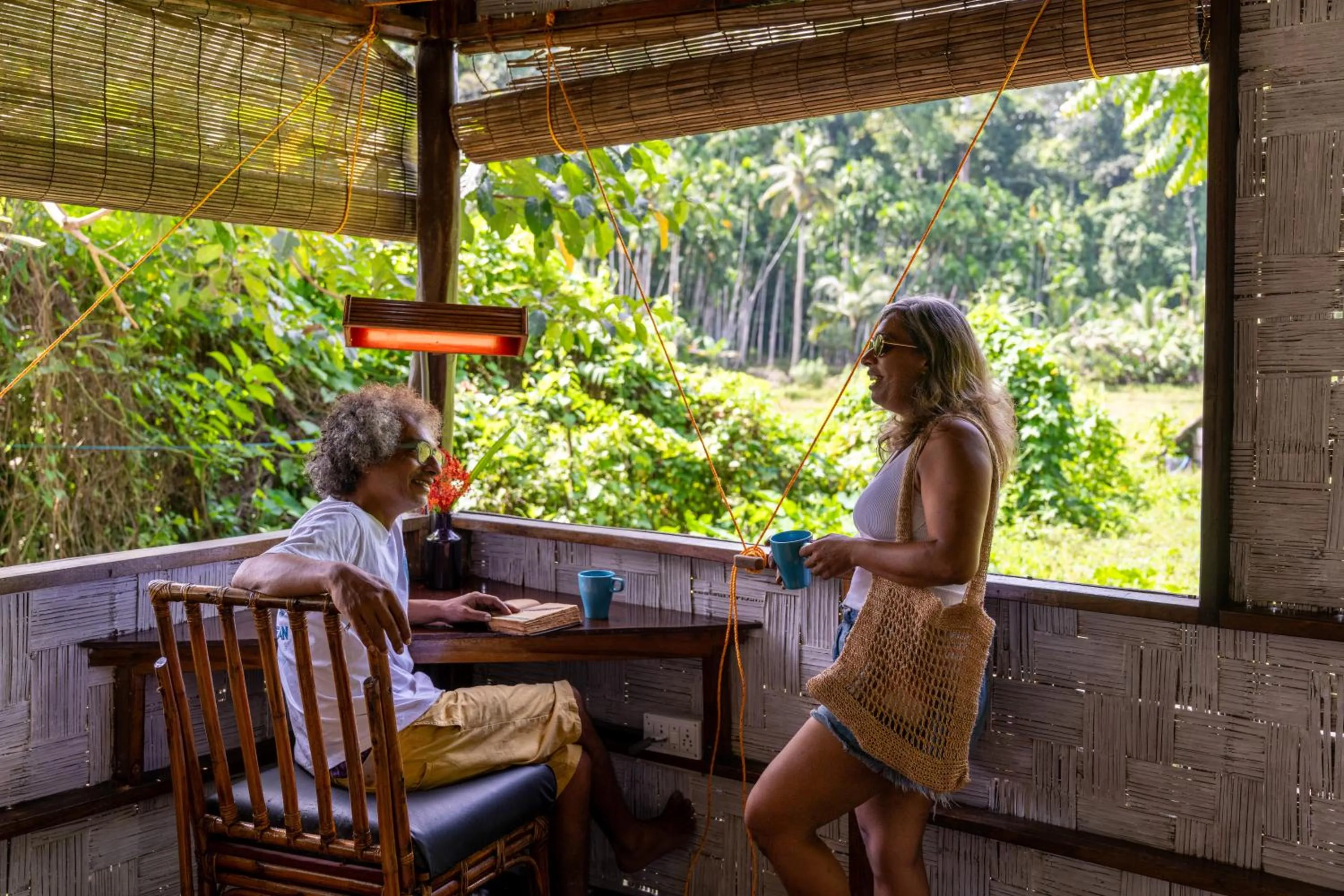 The Forest Elephant - Formerly known as the Flying Elephant